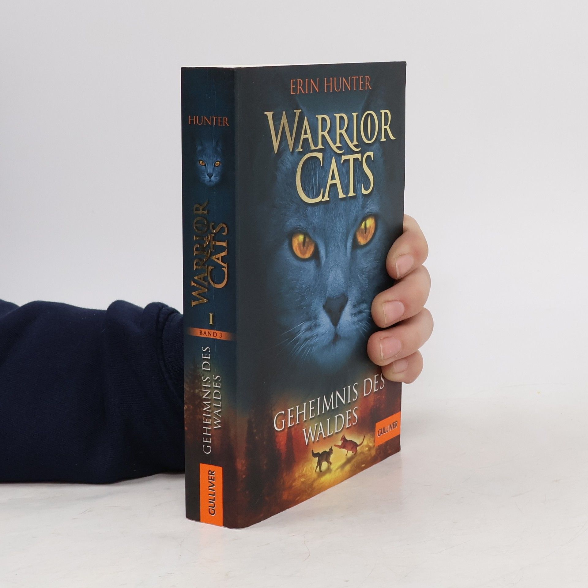 Warrior Cats. Geheimnis des Waldes