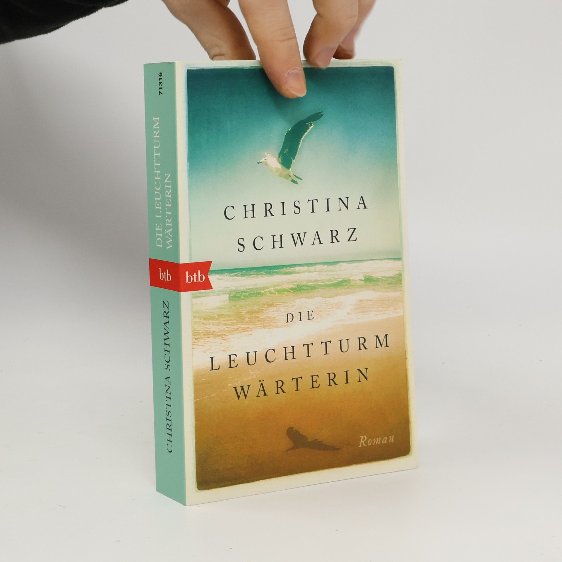 Christina Schwarz Die Leuchtturmwärterin