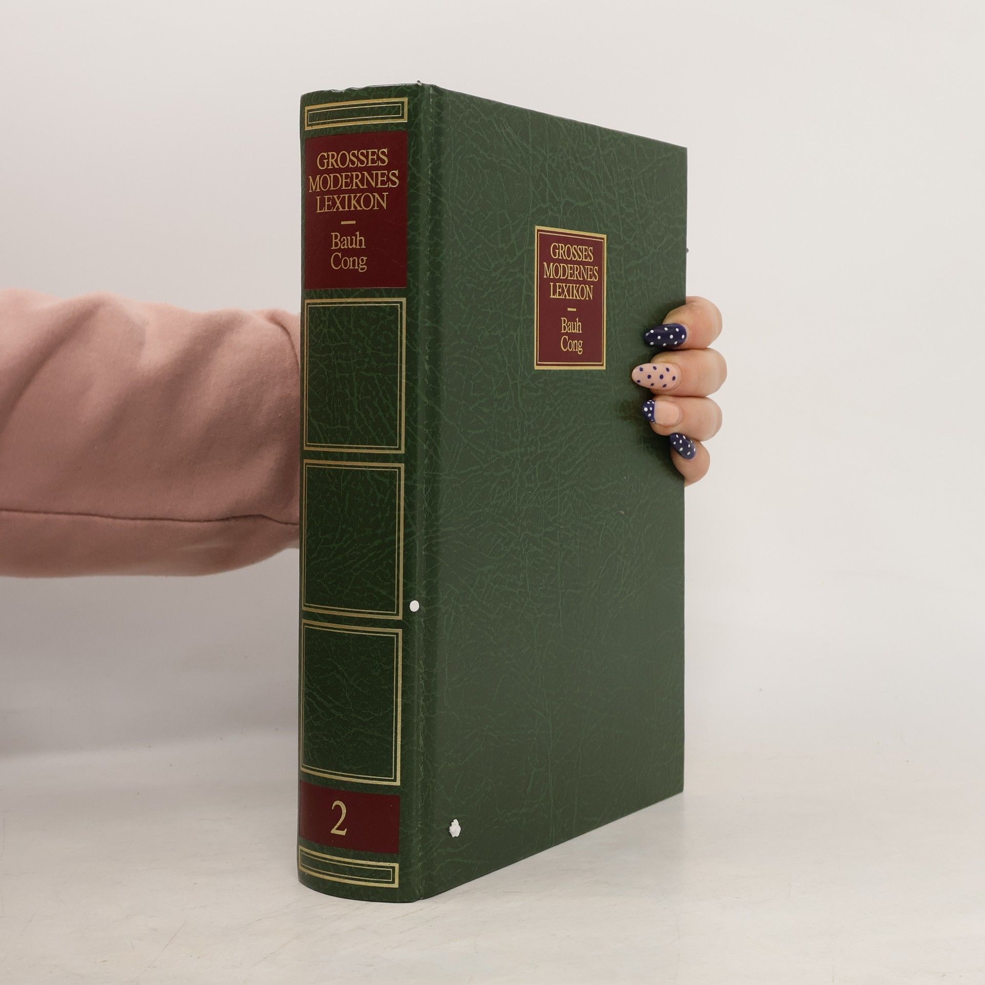 Bauh Cong Grosses modernes Lexikon 2