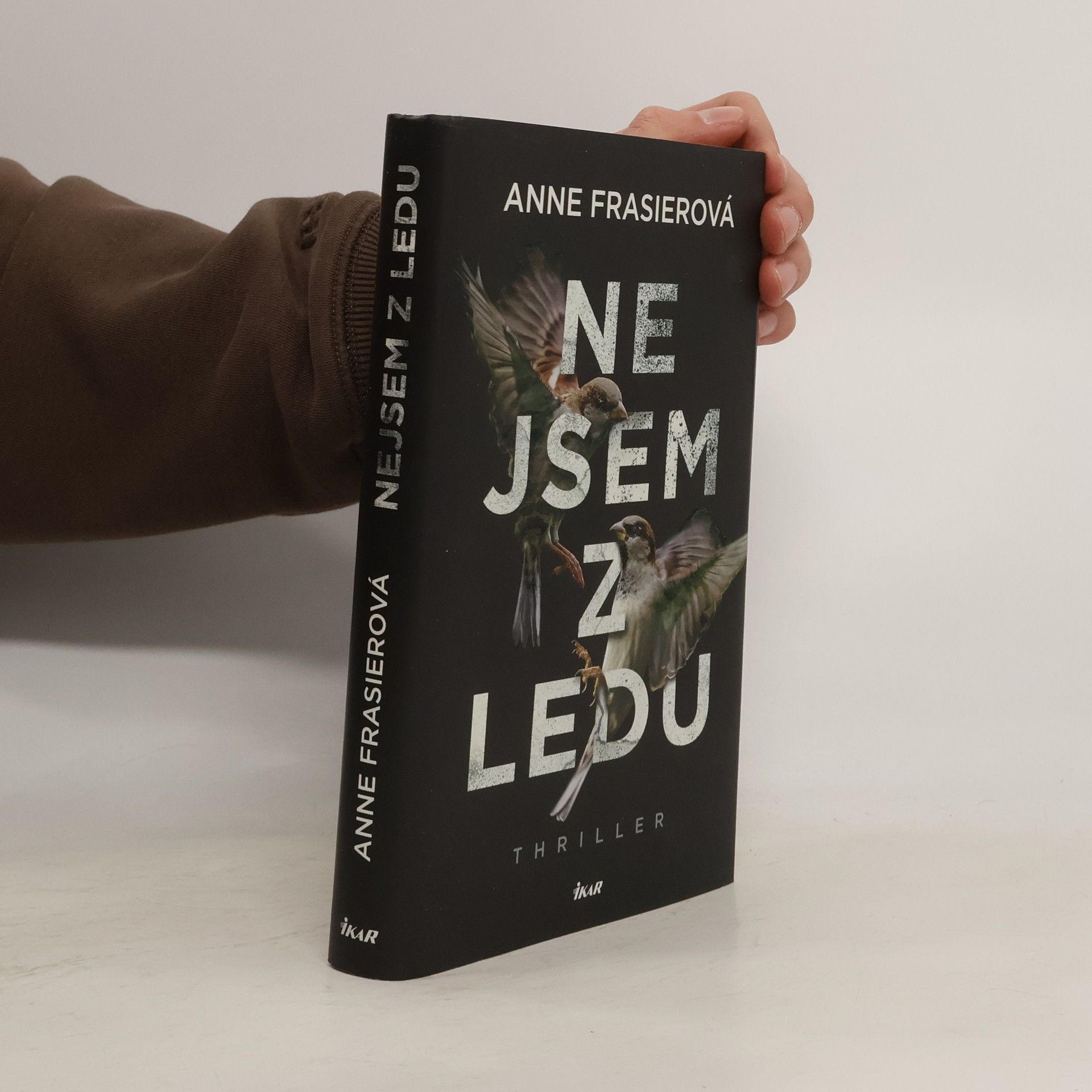 Anne Frasier Nejsem z ledu