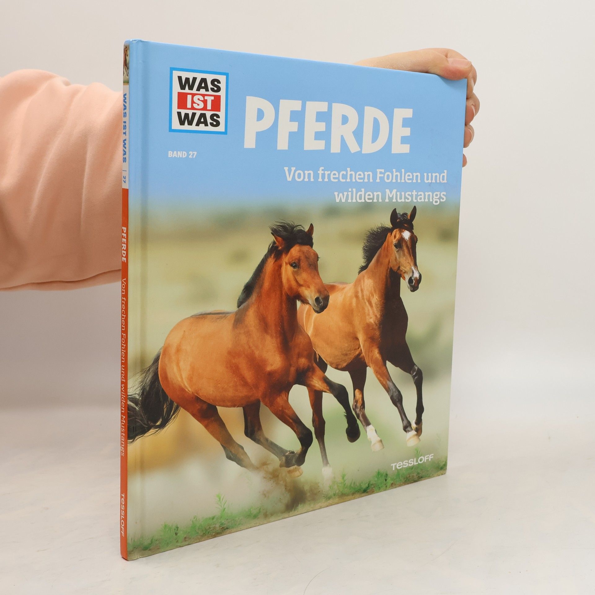 Pferde. Von frechen Fohlen und wilden Mustangs.