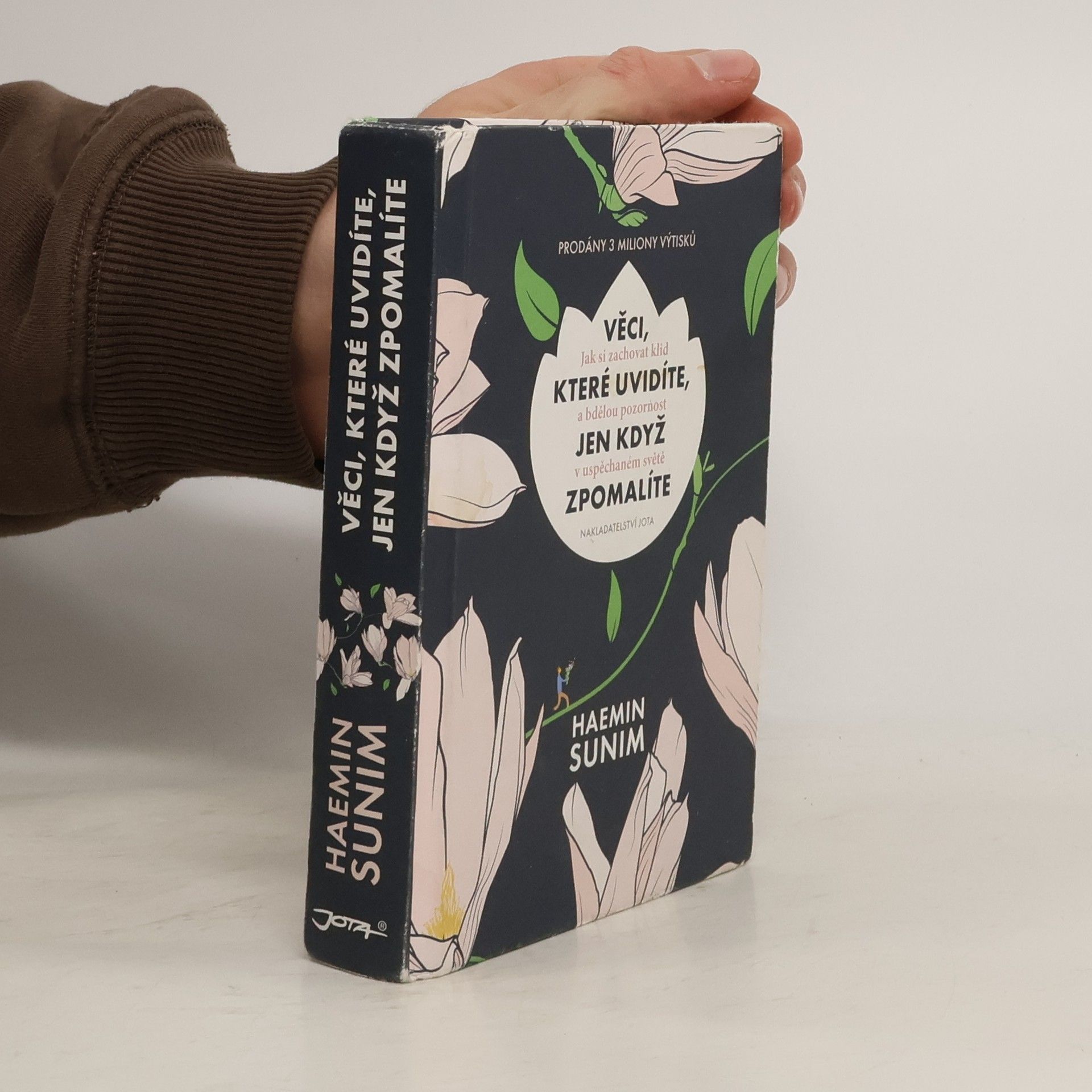 Sunim Haemin Věci, které uvidíte, jen když zpomalíte