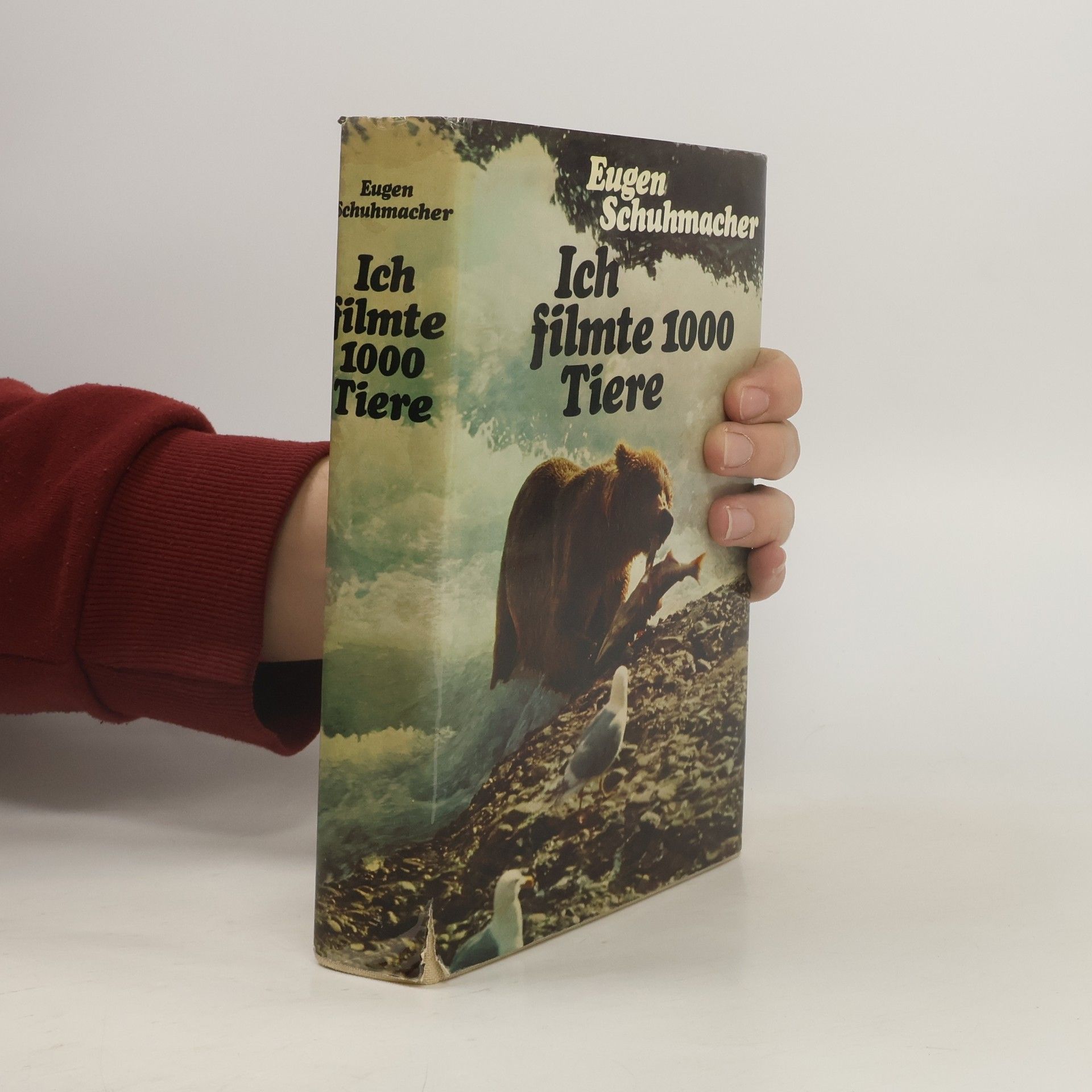 Ich filmte 1000 Tiere