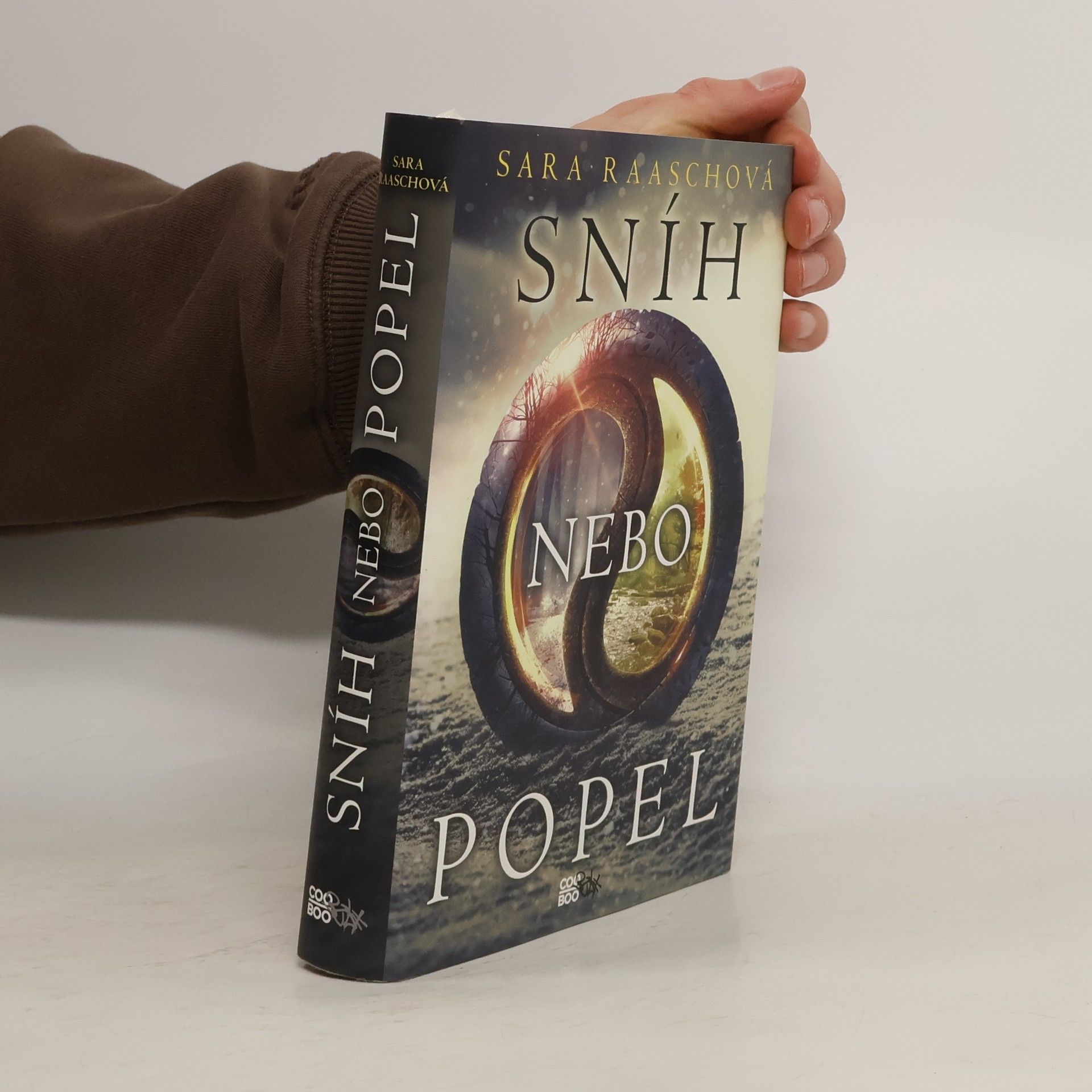 Sara Raasch Sníh nebo popel