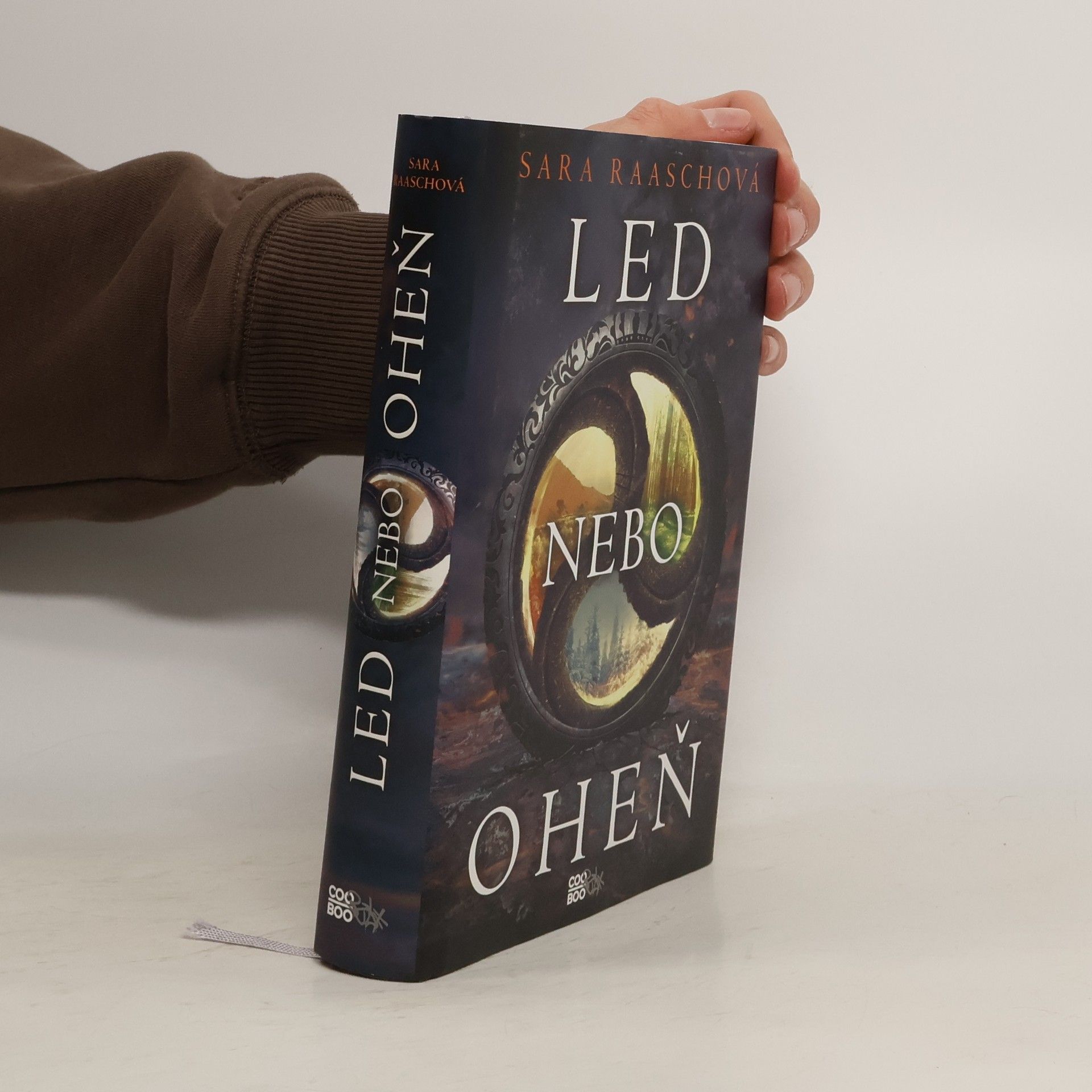 Sara Raasch Led nebo oheň