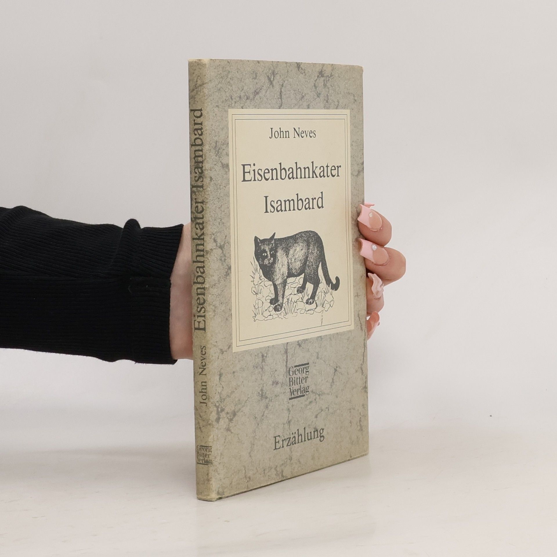 Eisenbahnkater Isambard