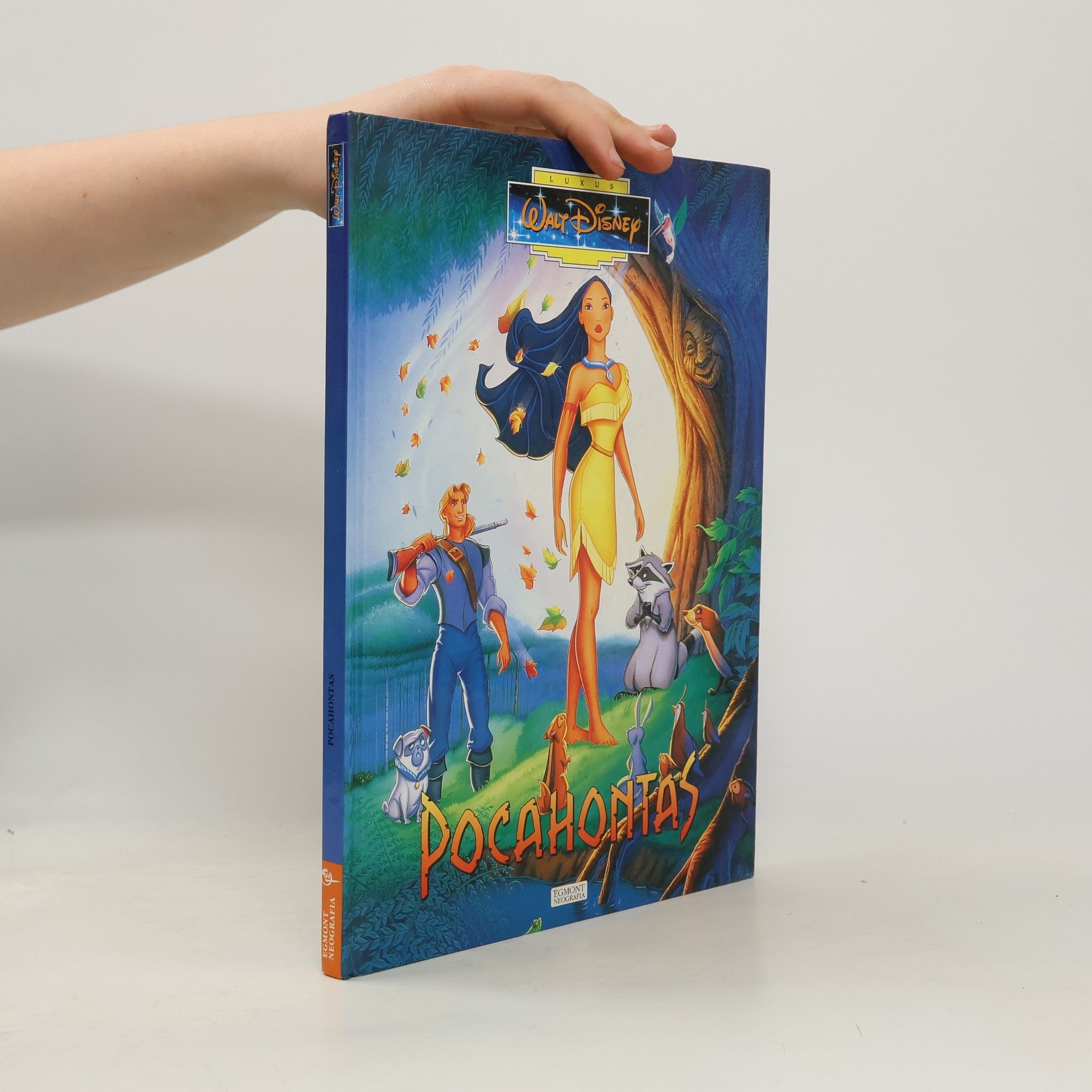 Walt Disney Pocahontas