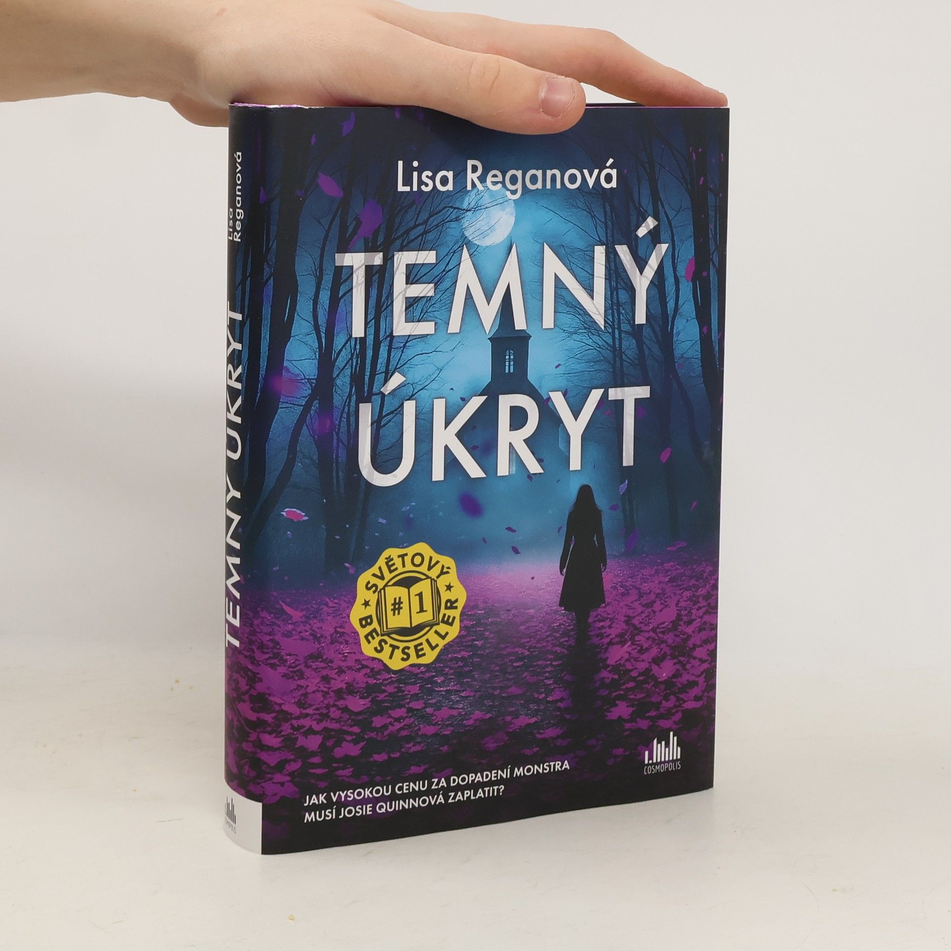 Lisa Regan Temný úkryt
