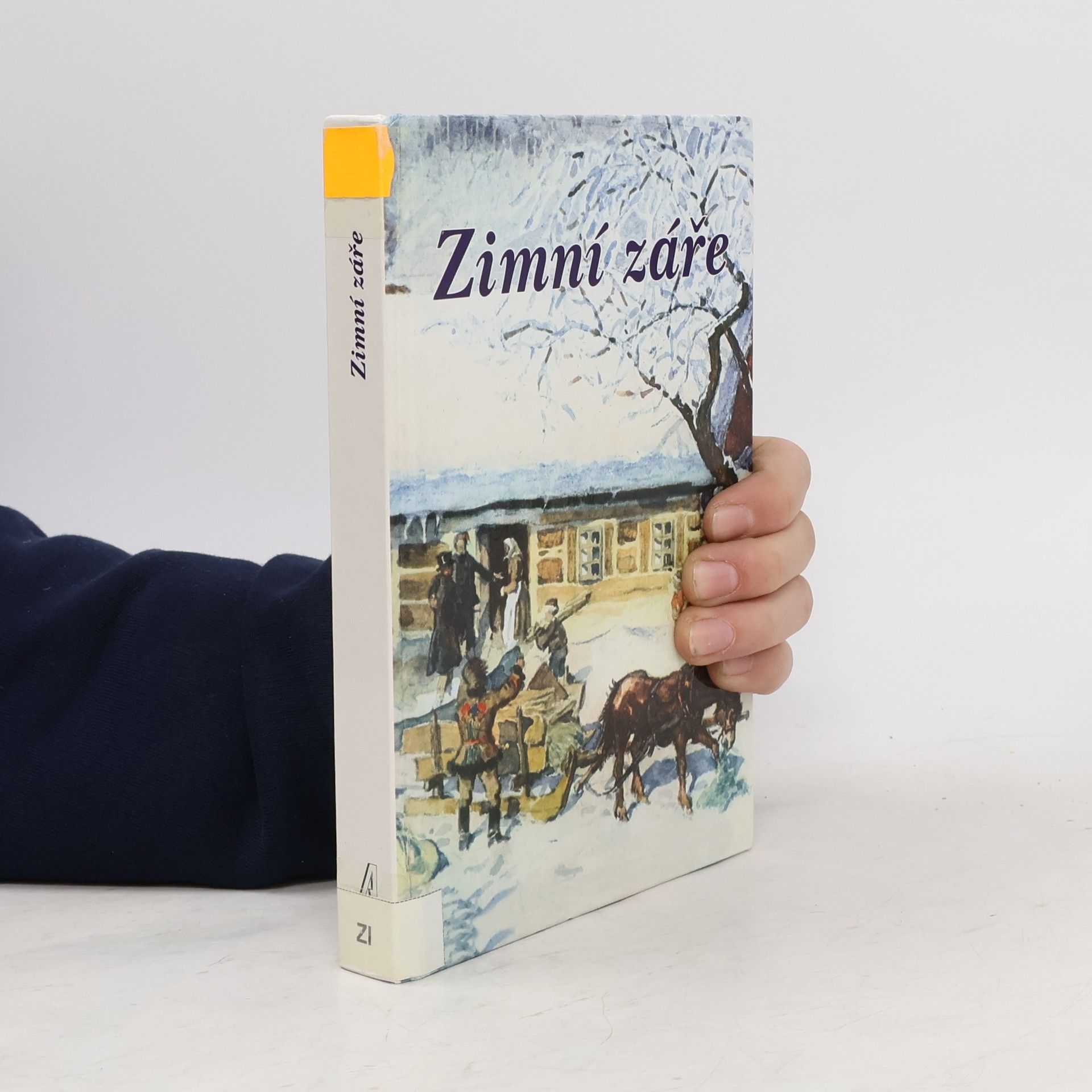 Collectif d'auteurs Zimní záře