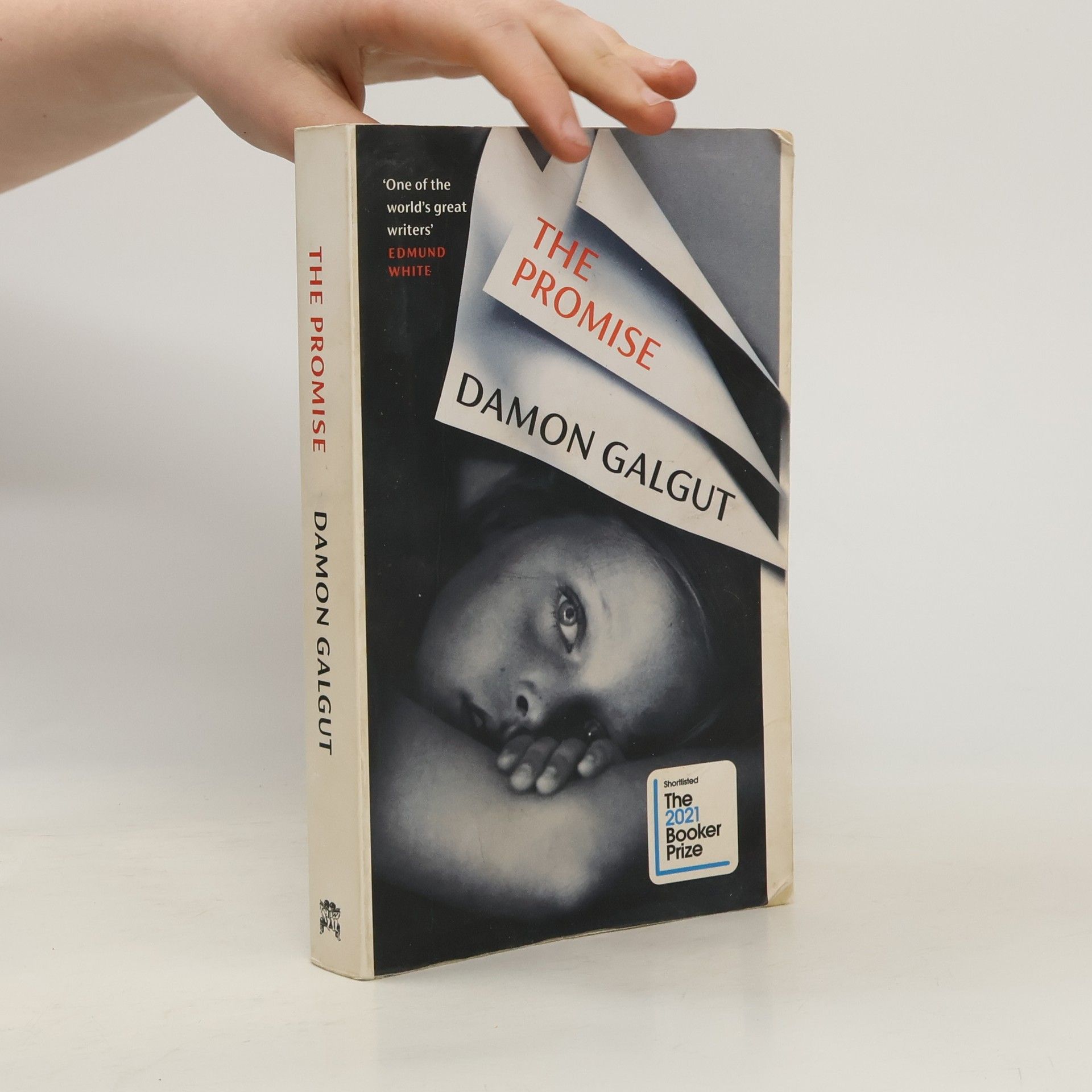 Damon Galgut The Promise