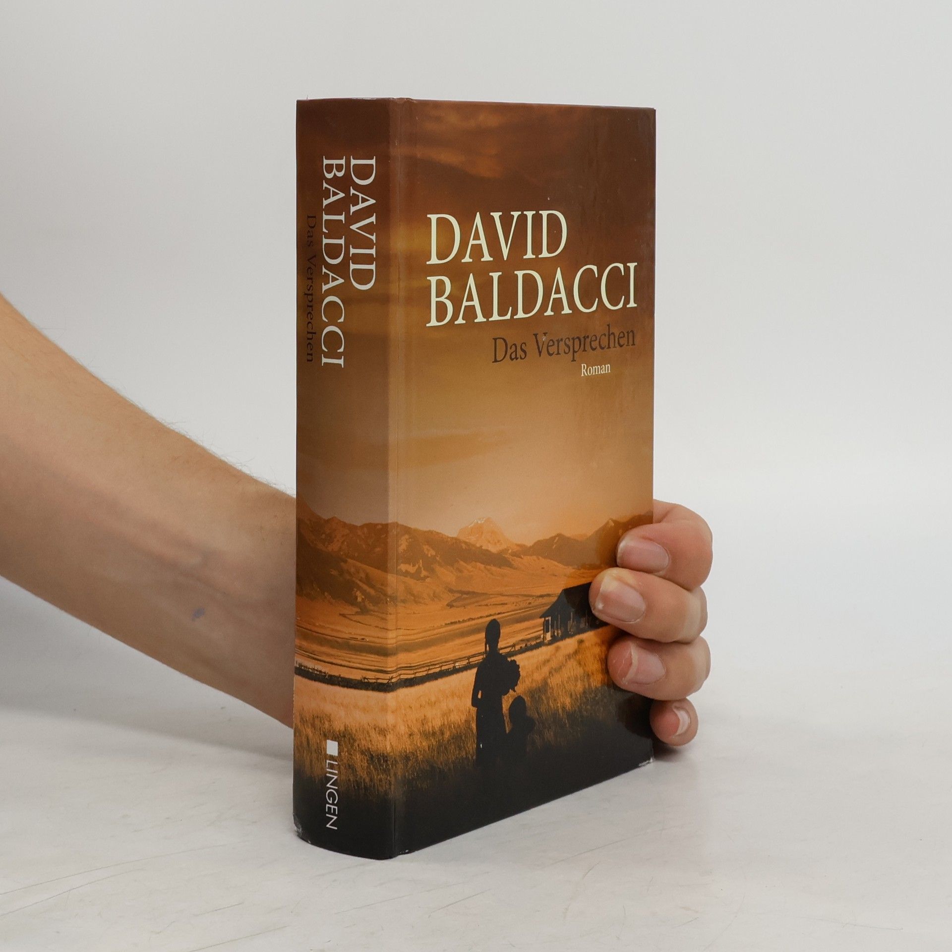 David Baldacci Das Versprechen