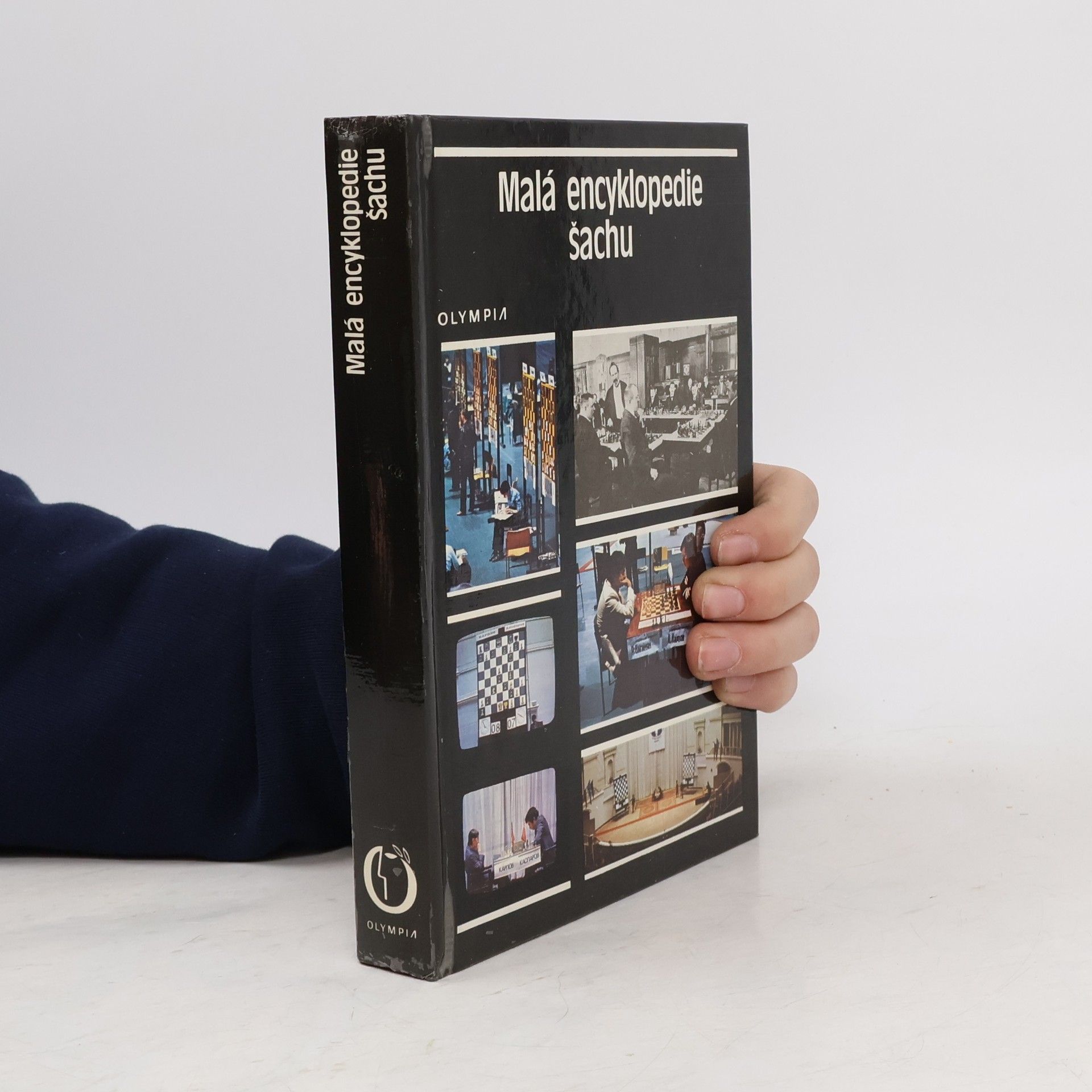 Malá encyklopedie šachu