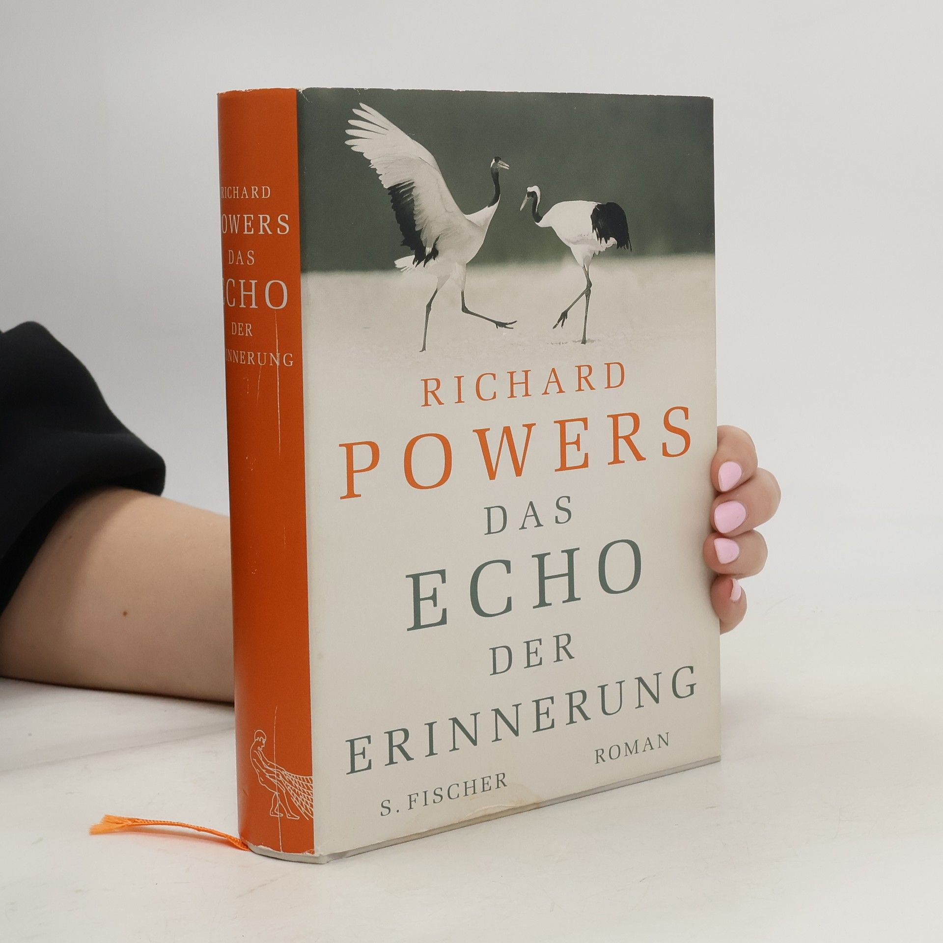 Richard Powers Das Echo der Erinnerung