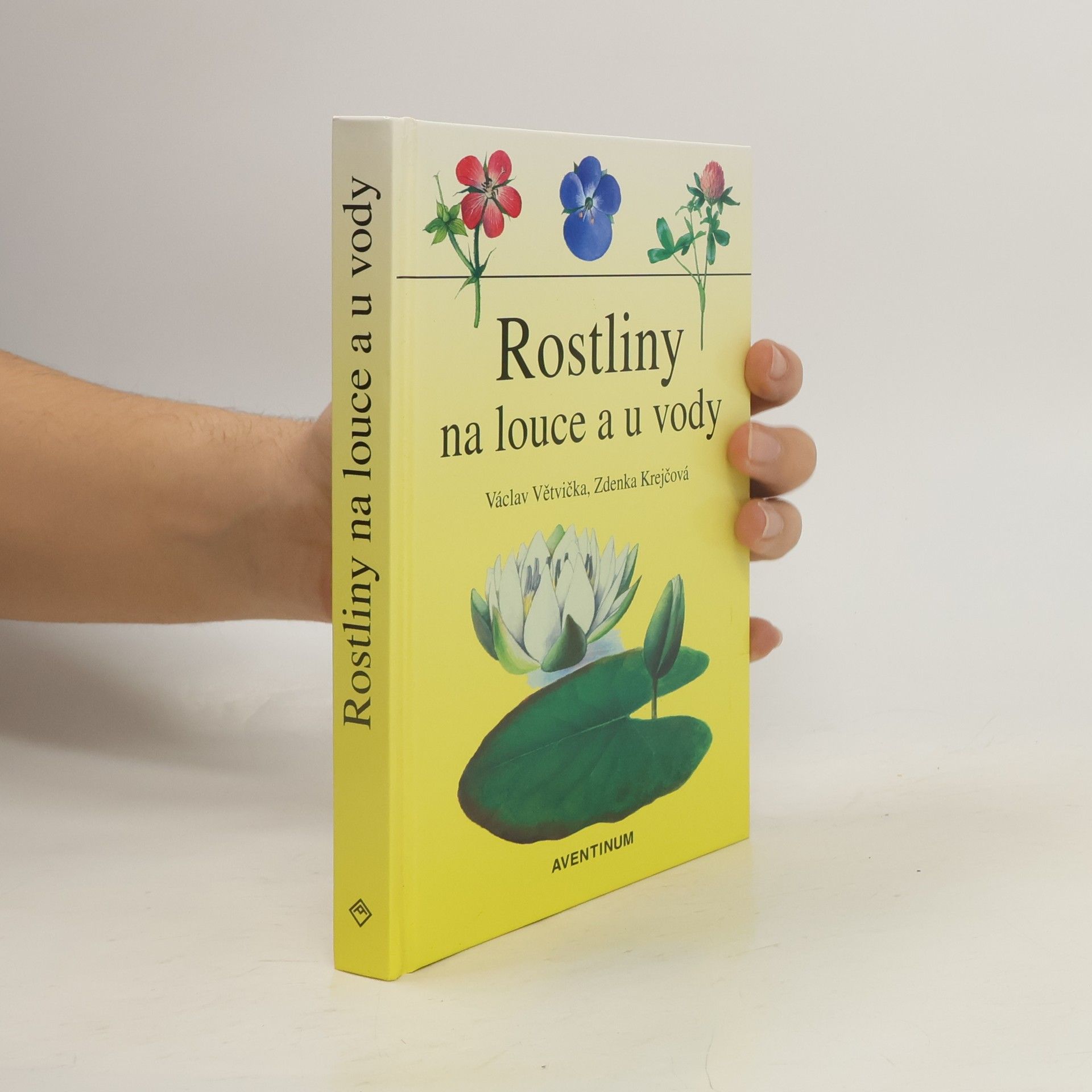 Václav Větvička Rostliny na louce a u vody