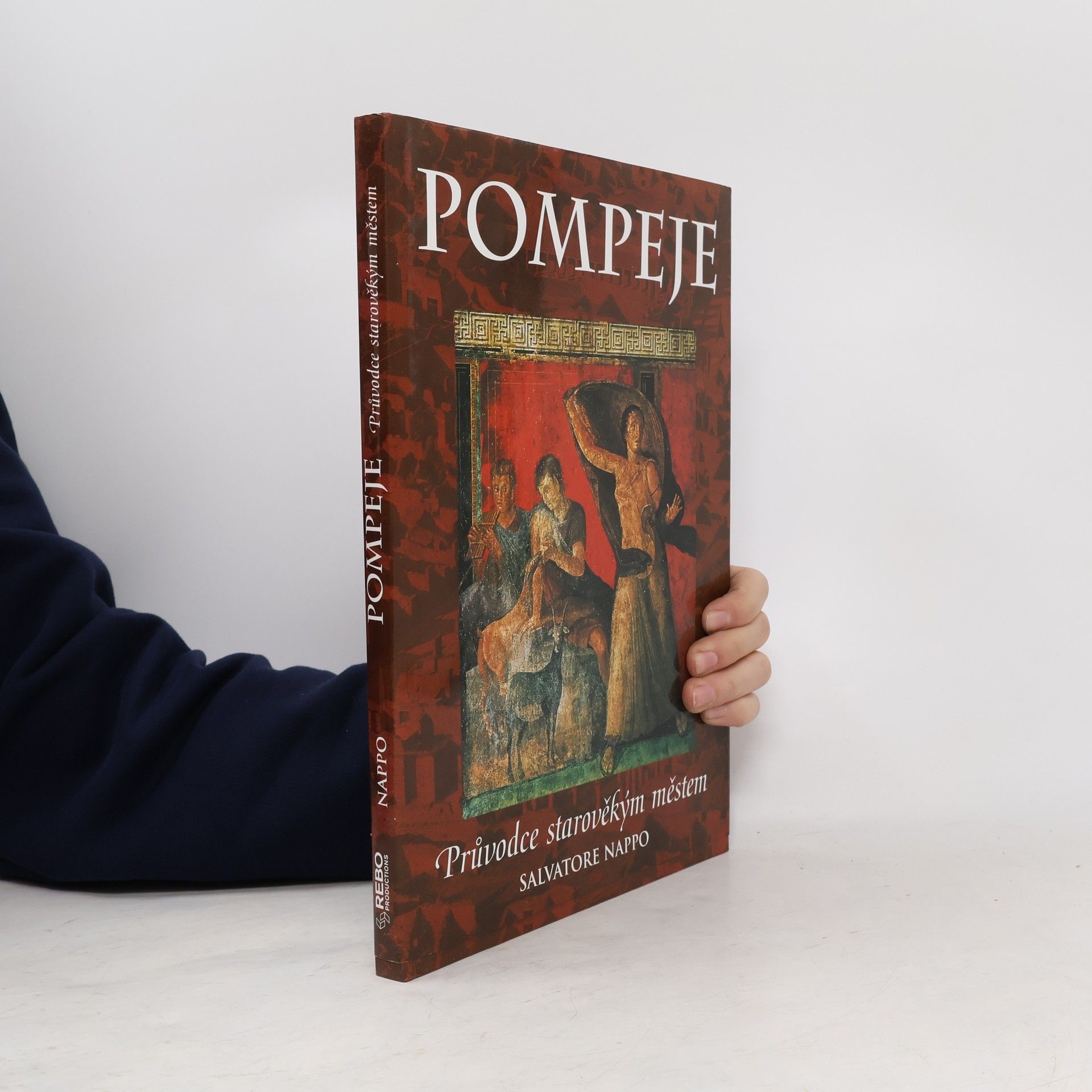 Kolektív autorov Pompeje: Průvodce starověkým městem