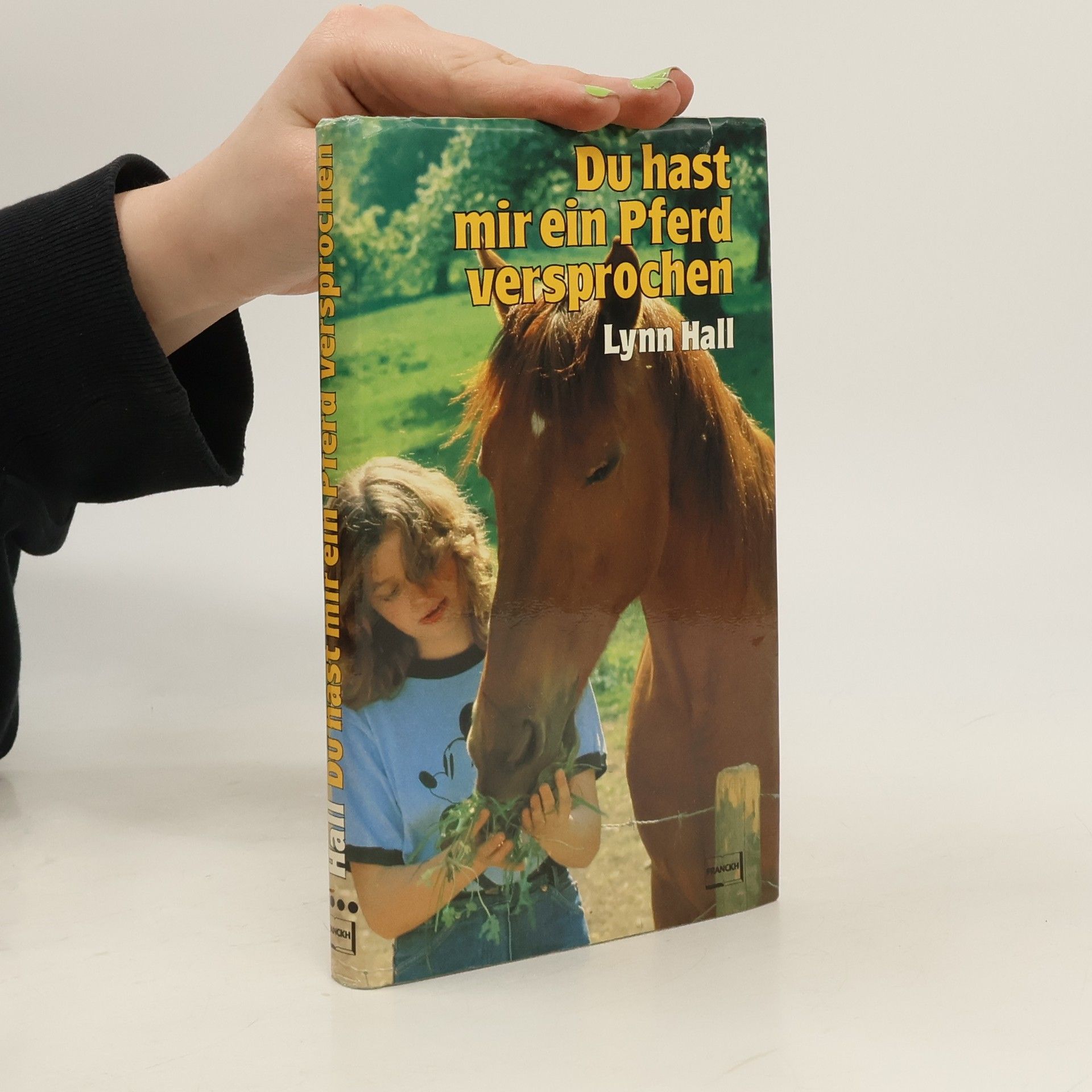 Du hast mir ein Pferd versprochen