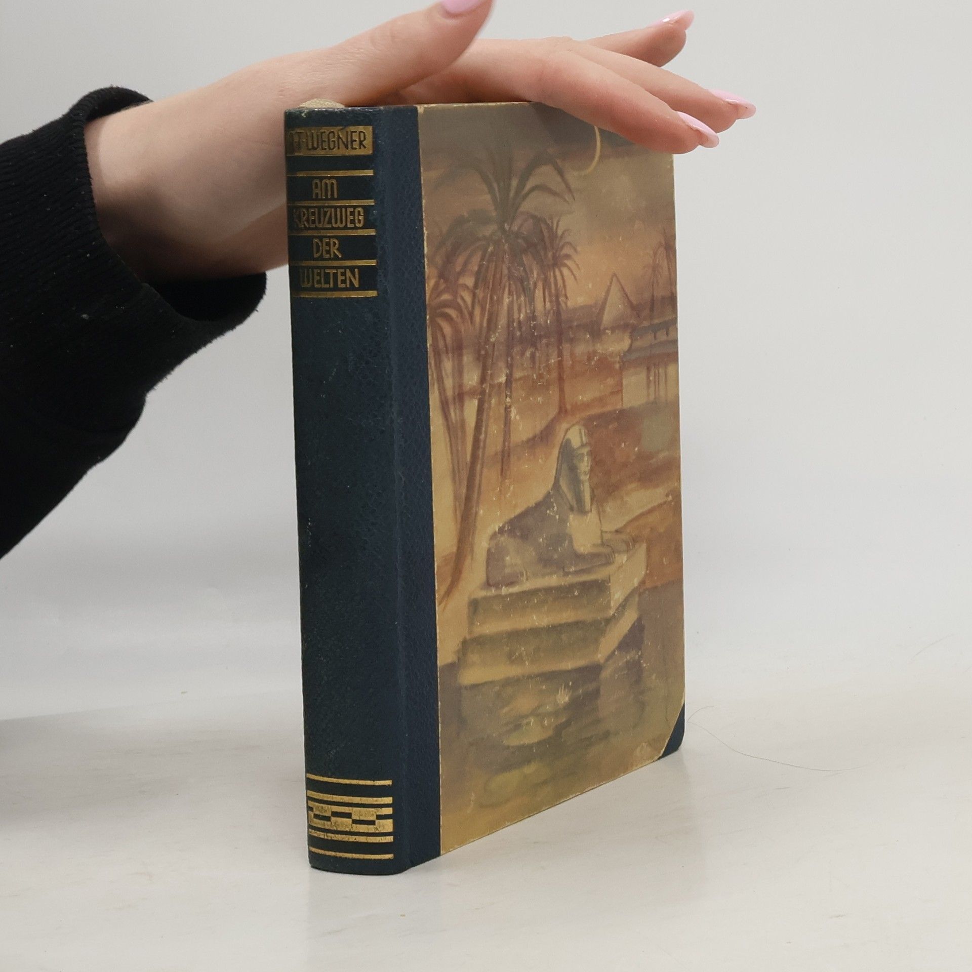 Armin T. Wegner Am Kreuzweg der Welten