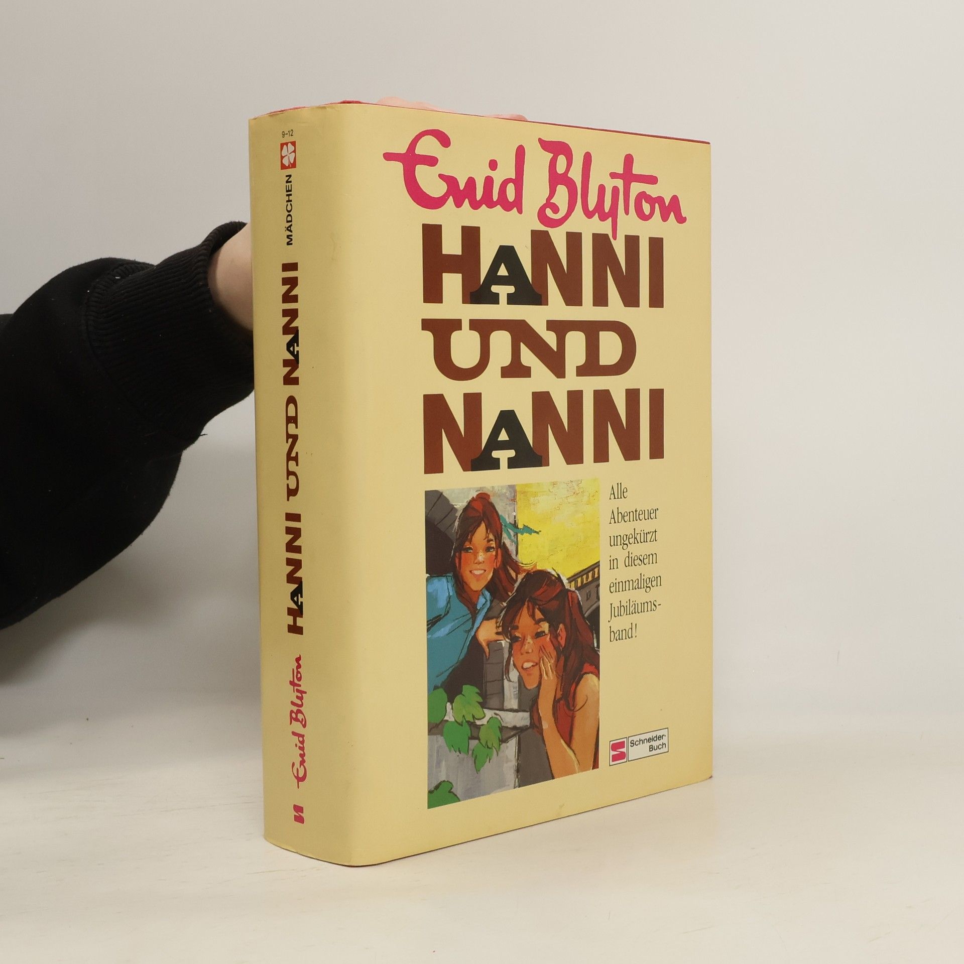 Enid Blyton Hanni und Nanni