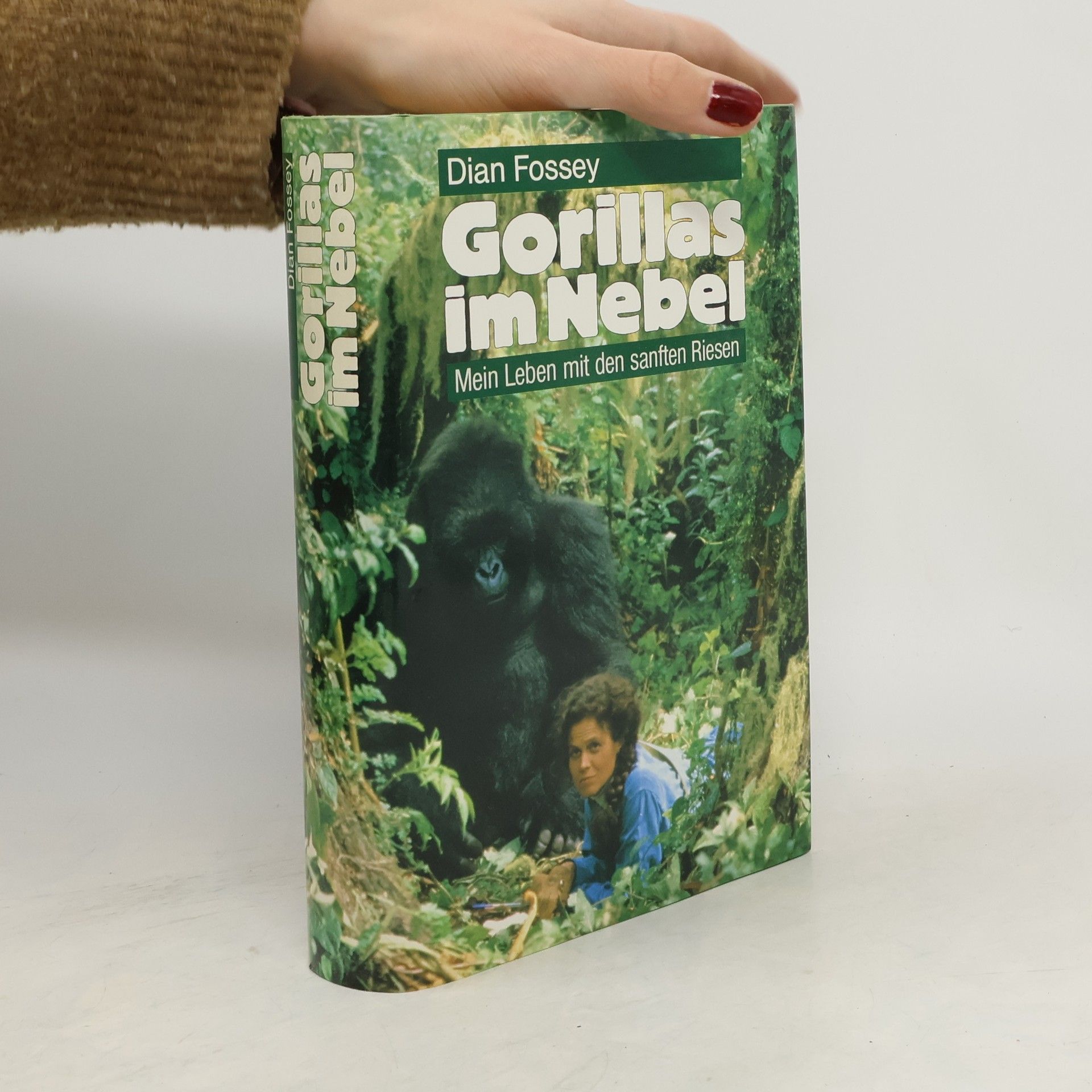 Dian Fossey Gorillas im Nebel