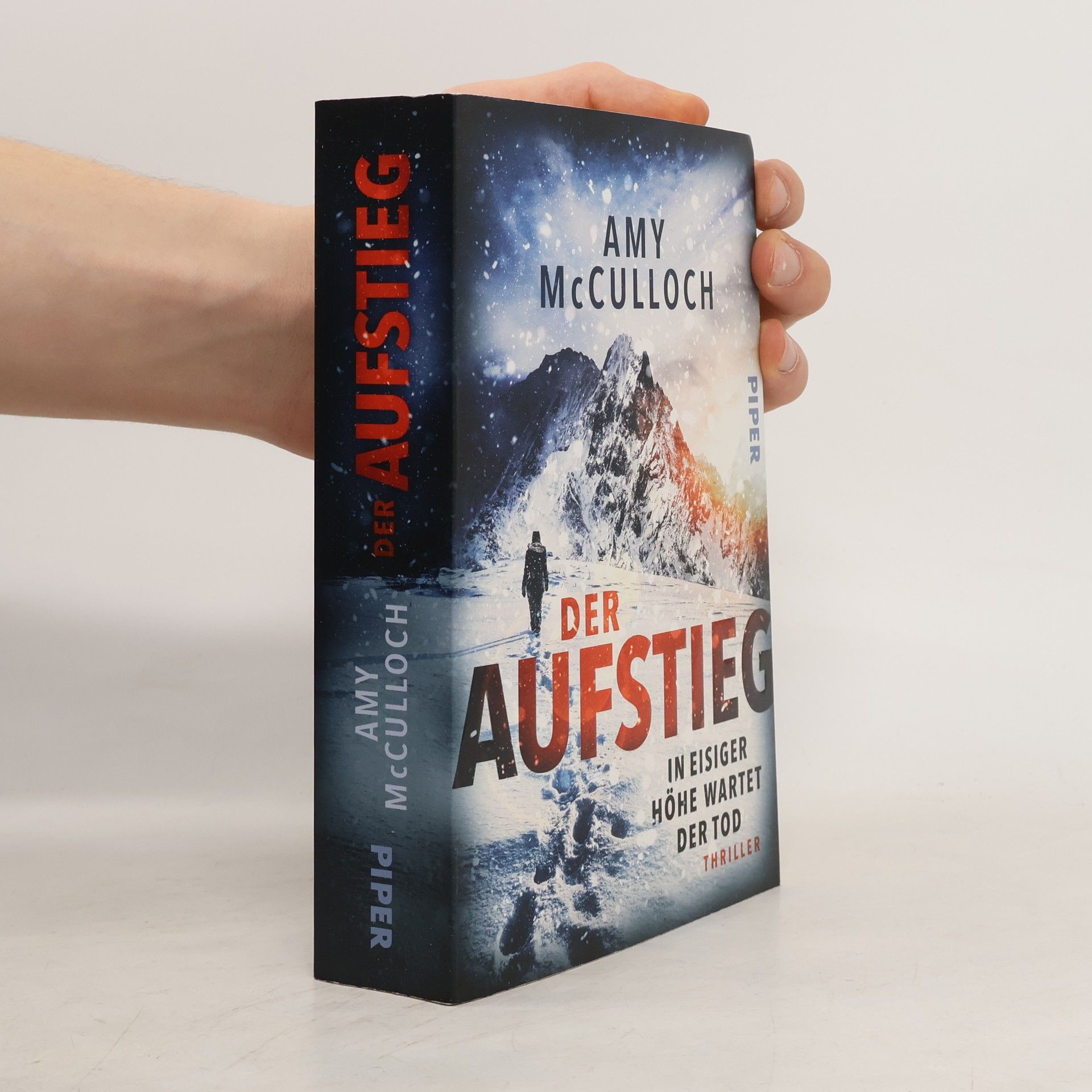 Amy McCulloch Der Aufstieg