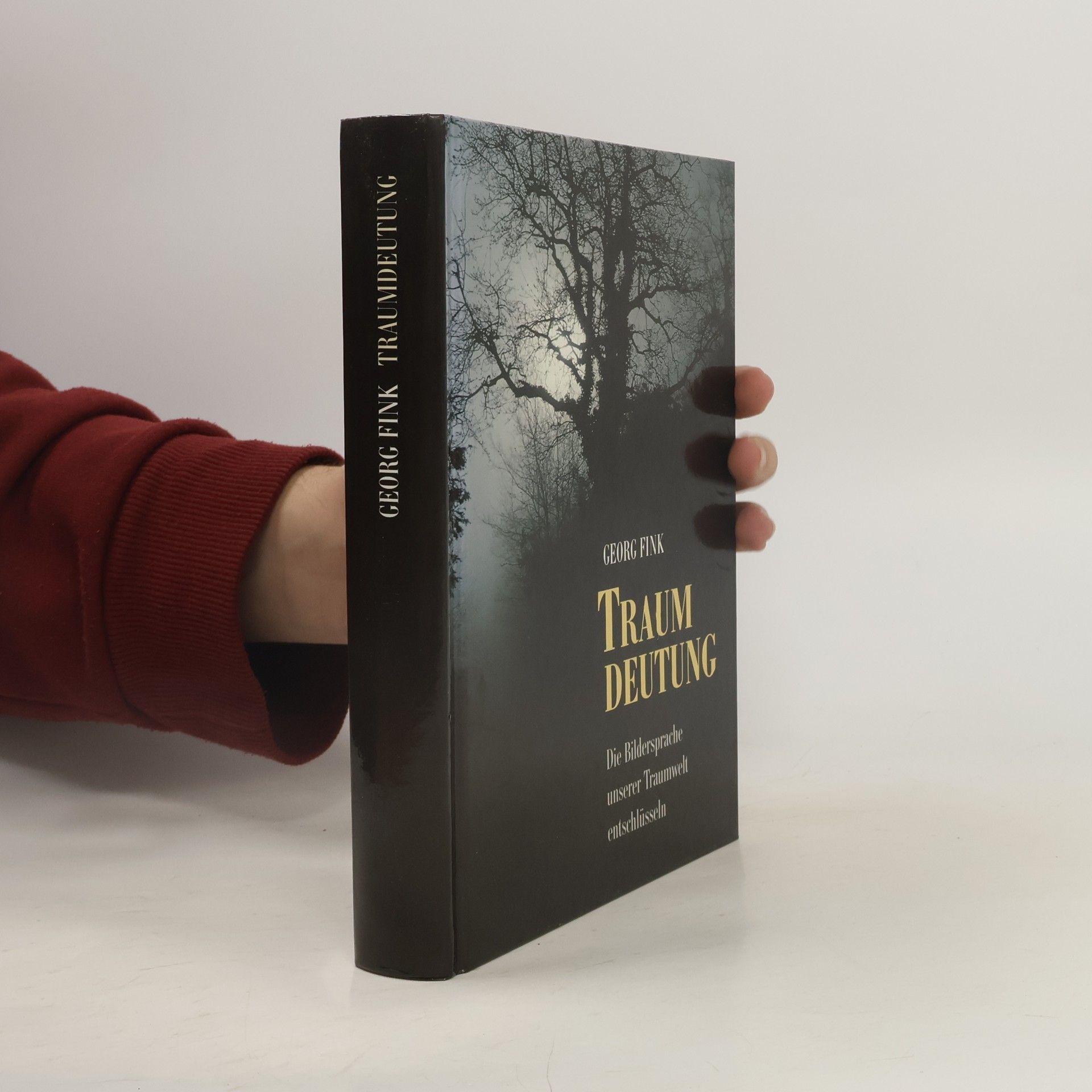 Georg Fink Traum Deutung Die Bildersprache unserer Traumwelt entschlüsseln