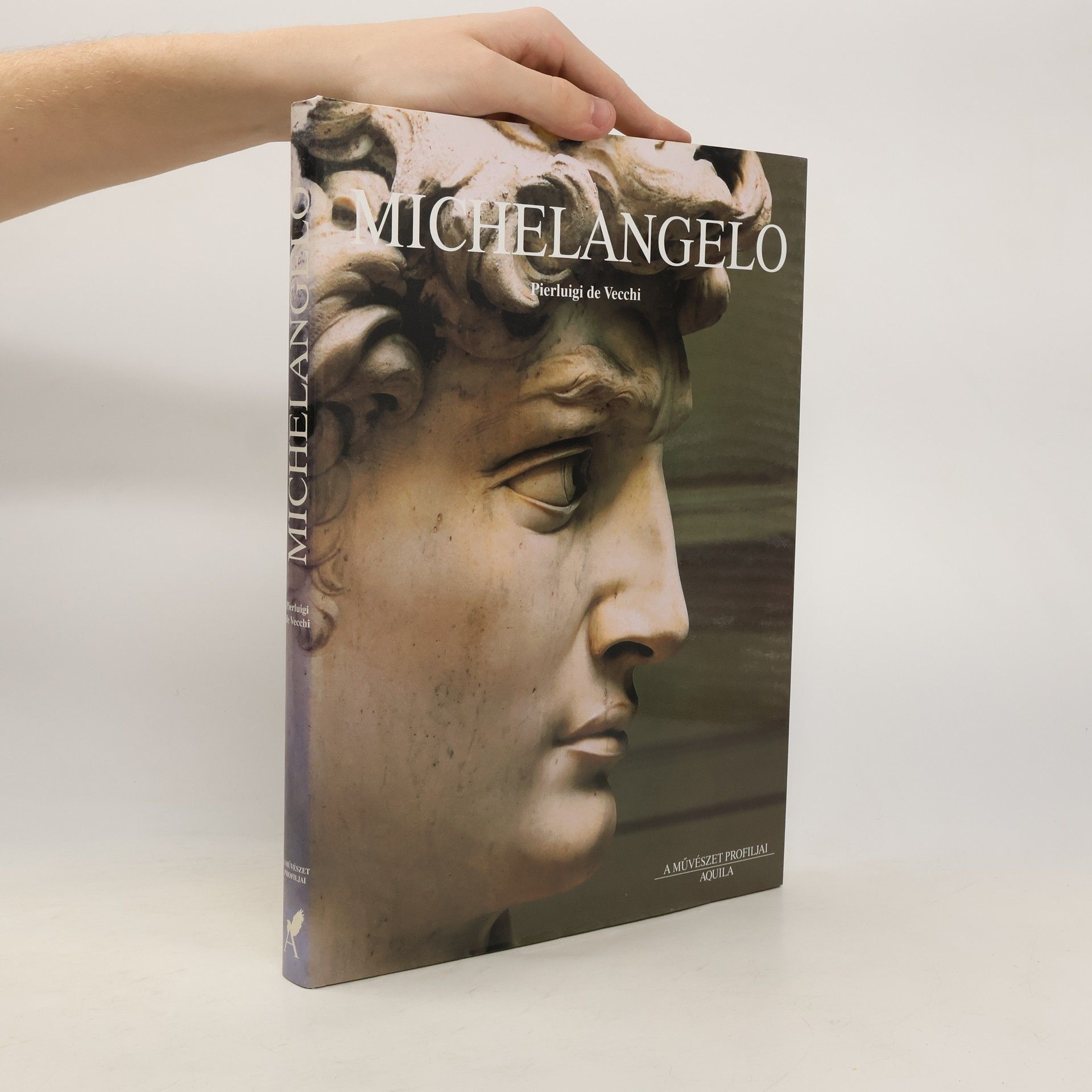 Pierluigi de Vecchi Michelangelo