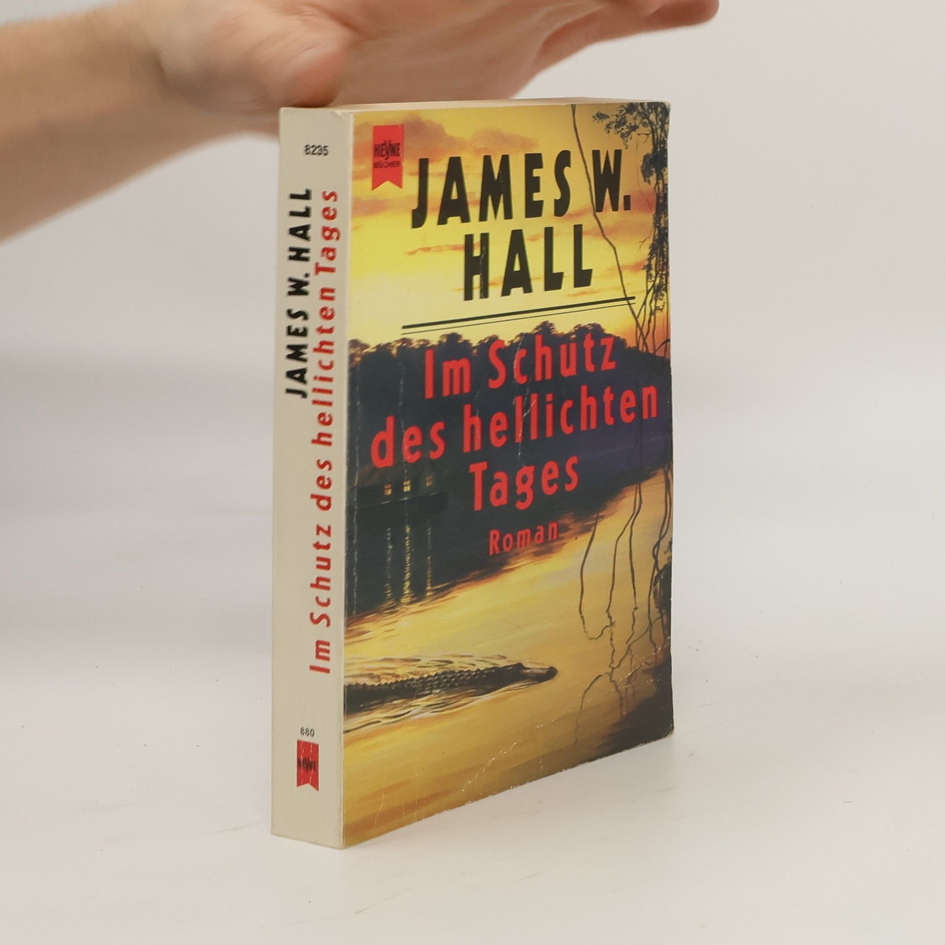 Im Schutz des hellichten Tages. Roman.
