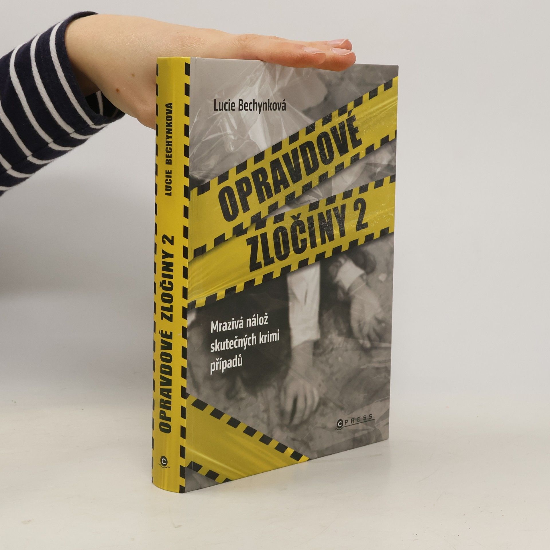 Opravdové zločiny 2