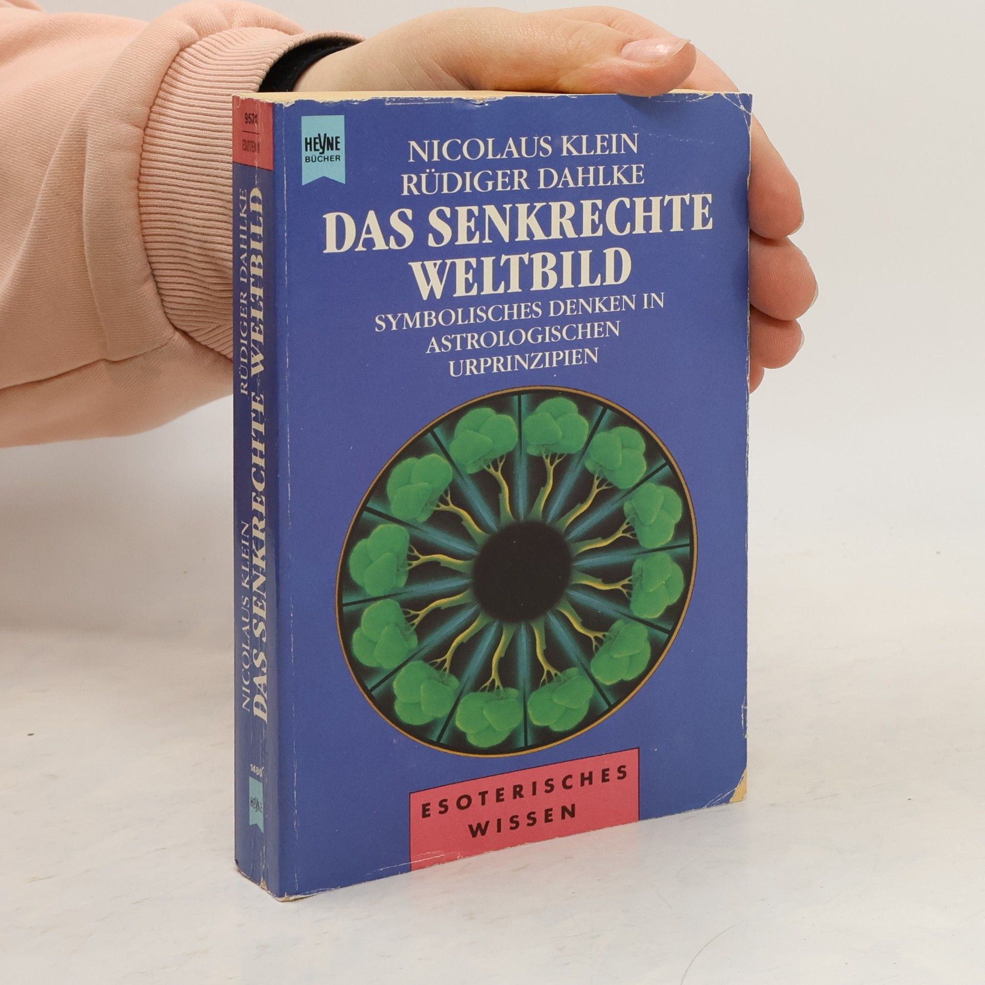 Nicolaus Klein Das senkrechte Weltbild