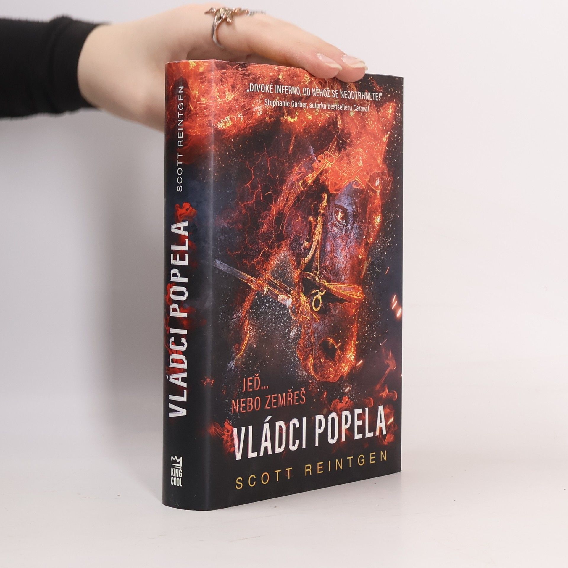 Scott Reintgen Vládci popela