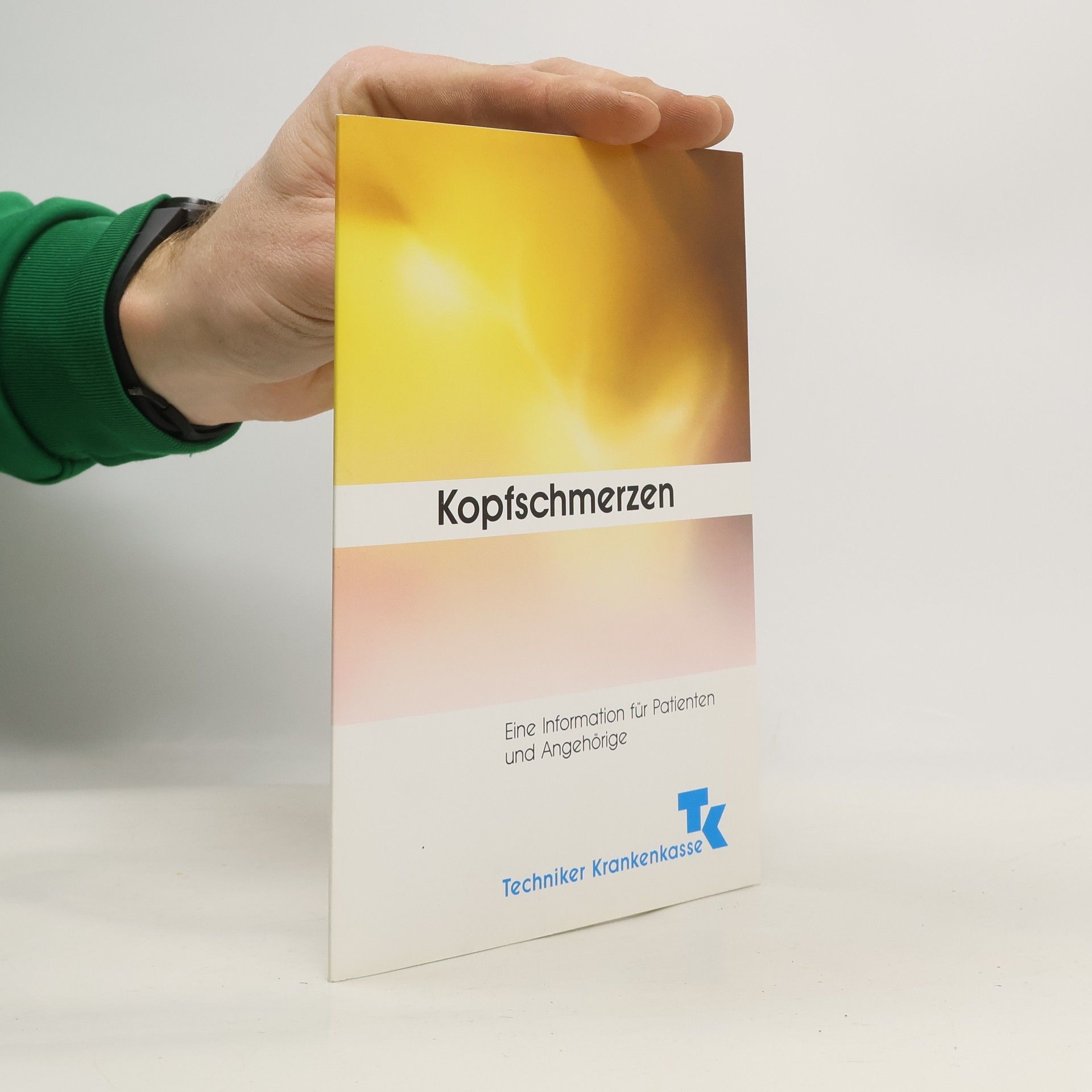 Kolektiv autorů Chronische Kopfschmerzen