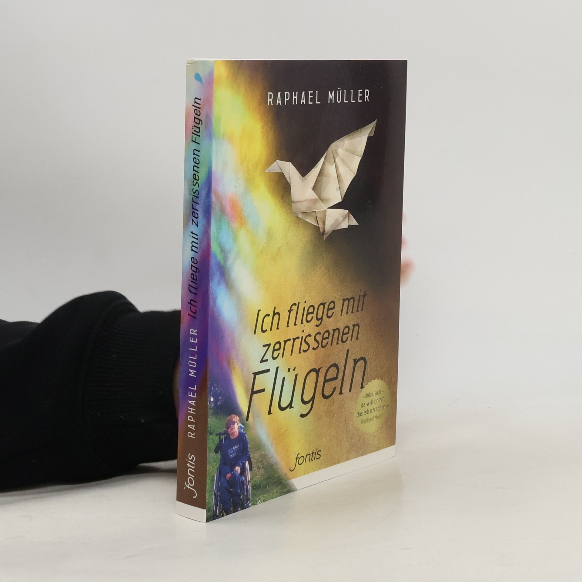 Raphael Müller Ich fliege mit zerrissenen Flügeln