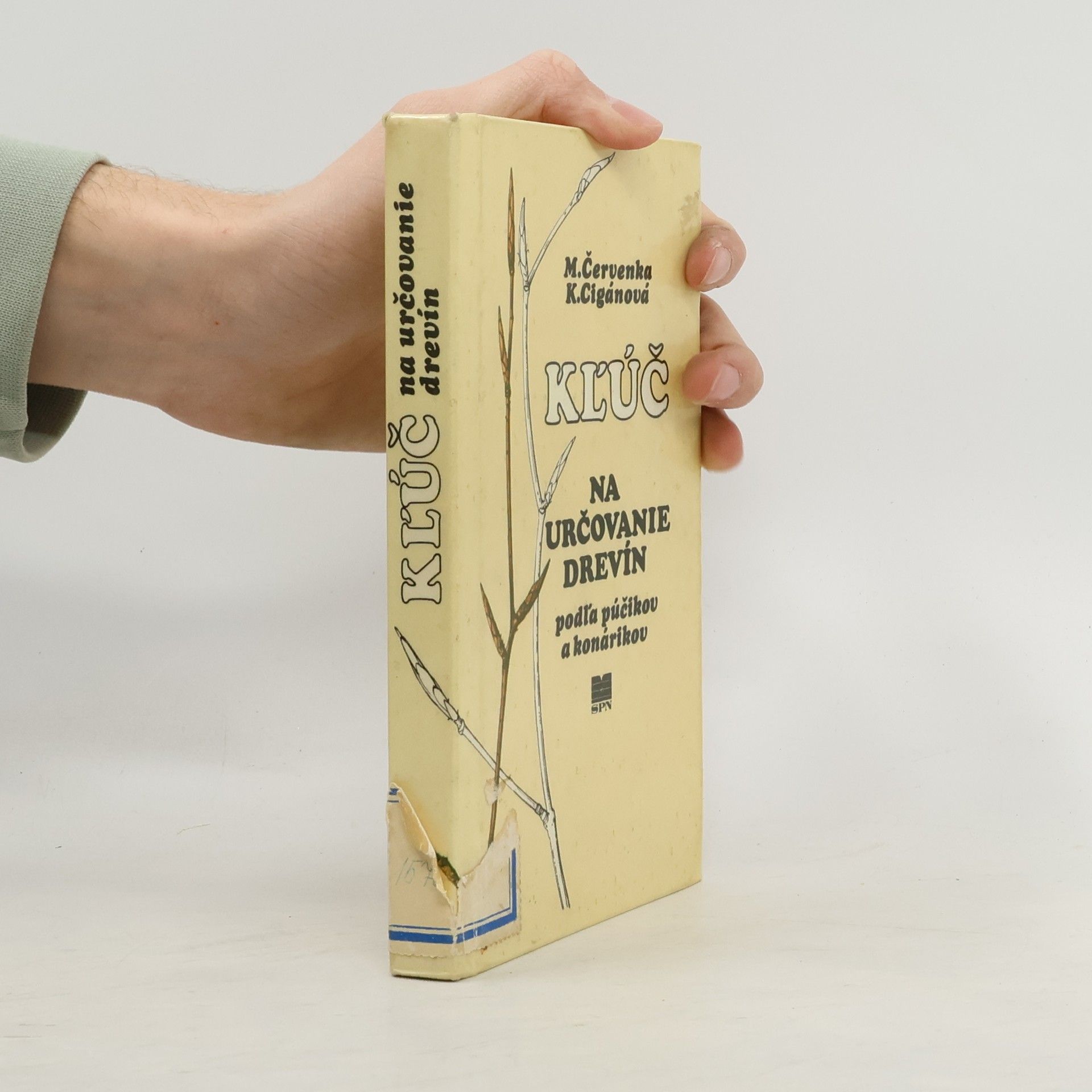 Katarína Cigánová Kľúč na určovanie drevín podľa púčikov a konárikov