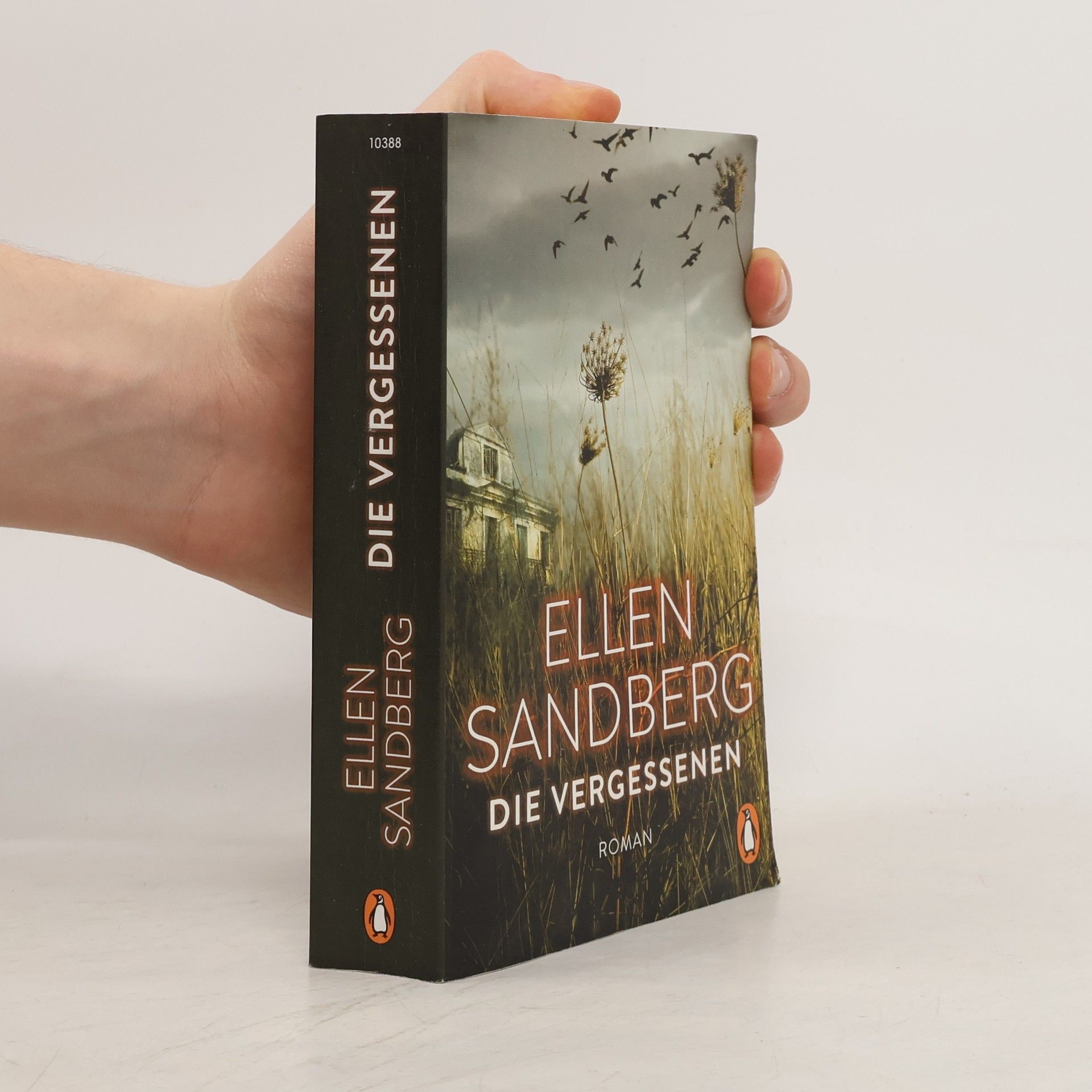 Ellen Sandberg Die Vergessenen