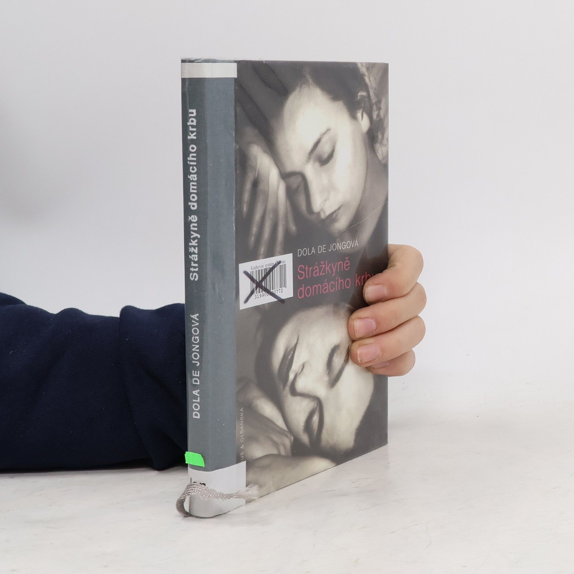 Dola de Jong Strážkyně domácího krbu