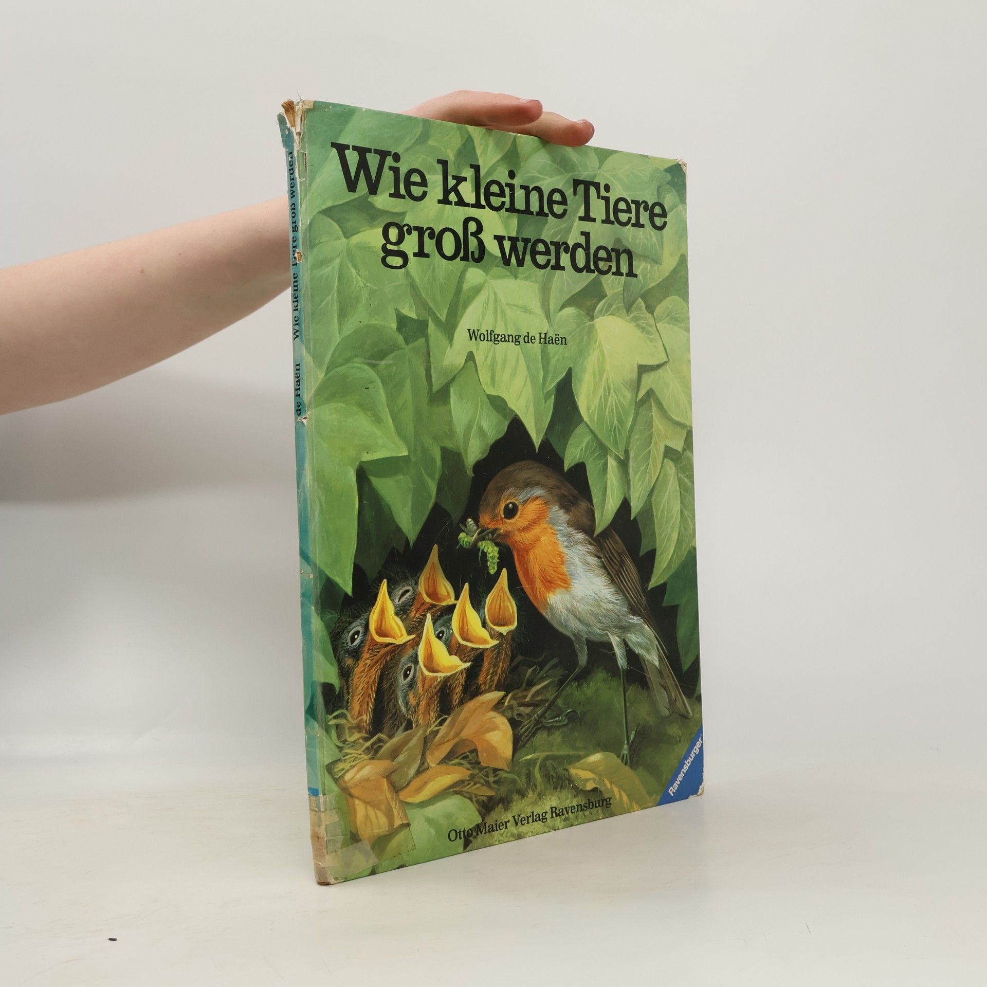 Wolfgang de Haen Wie kleine Tiere gross werden