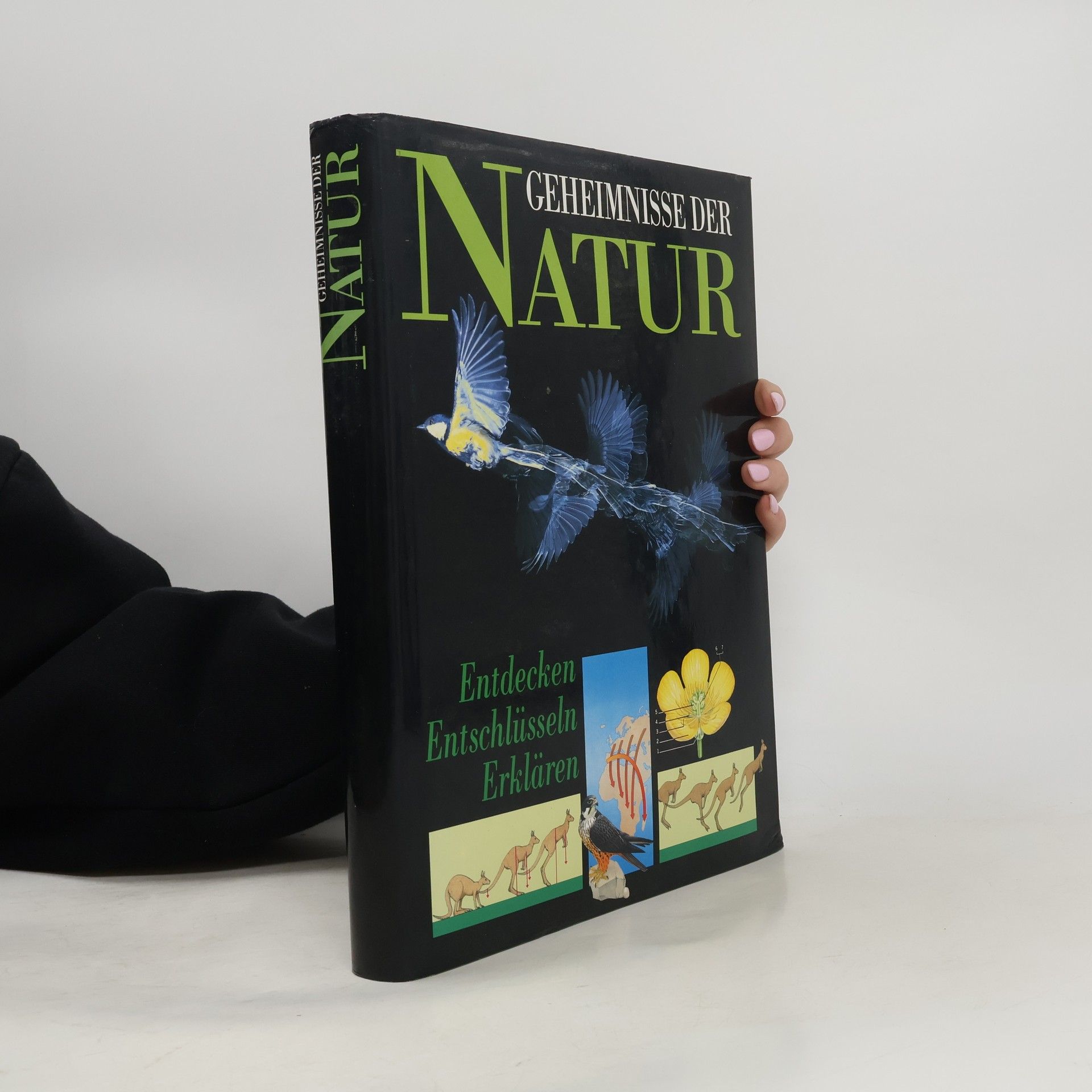Autorenkollektiv Geheimnisse der Natur
