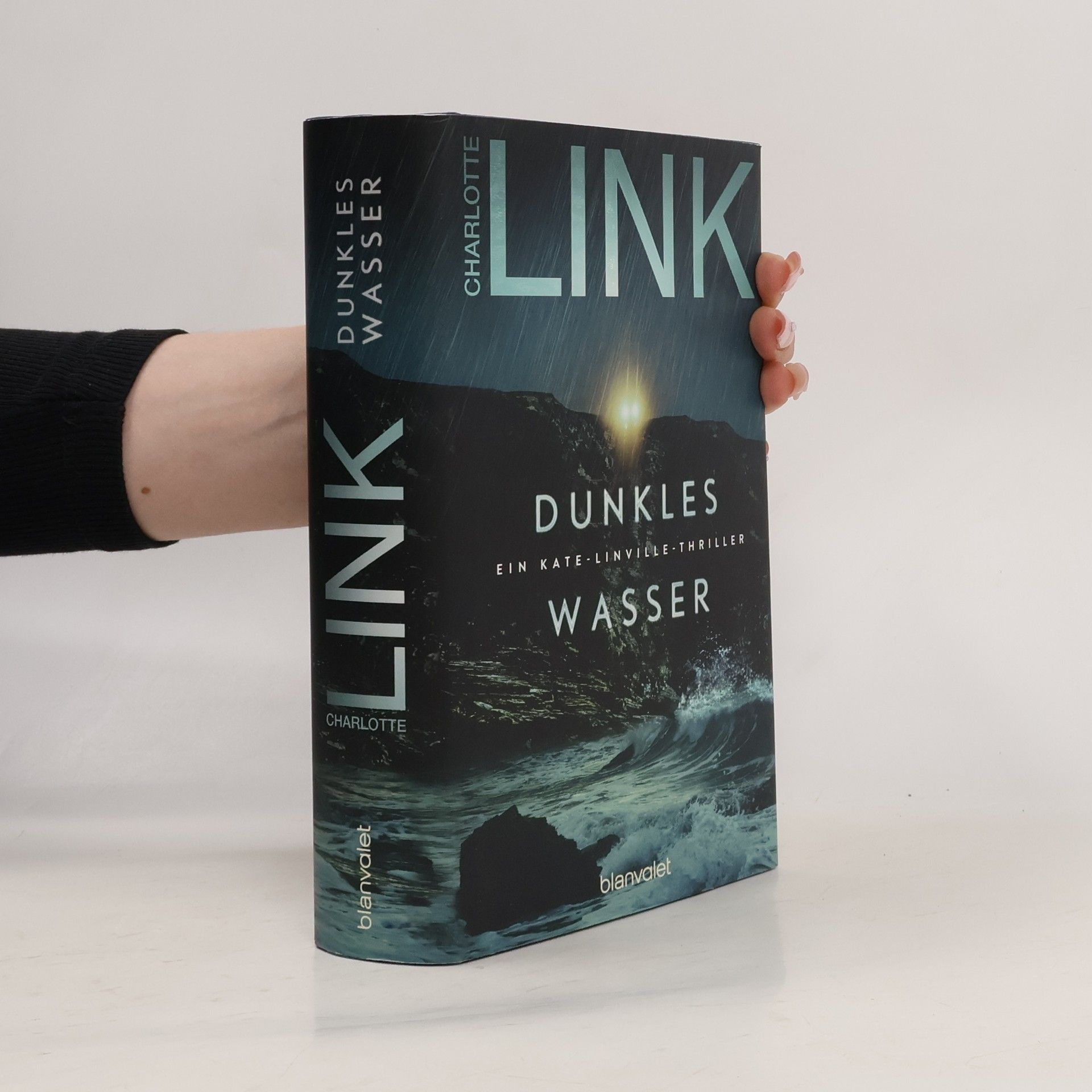 Charlotte Link Dunkles Wasser