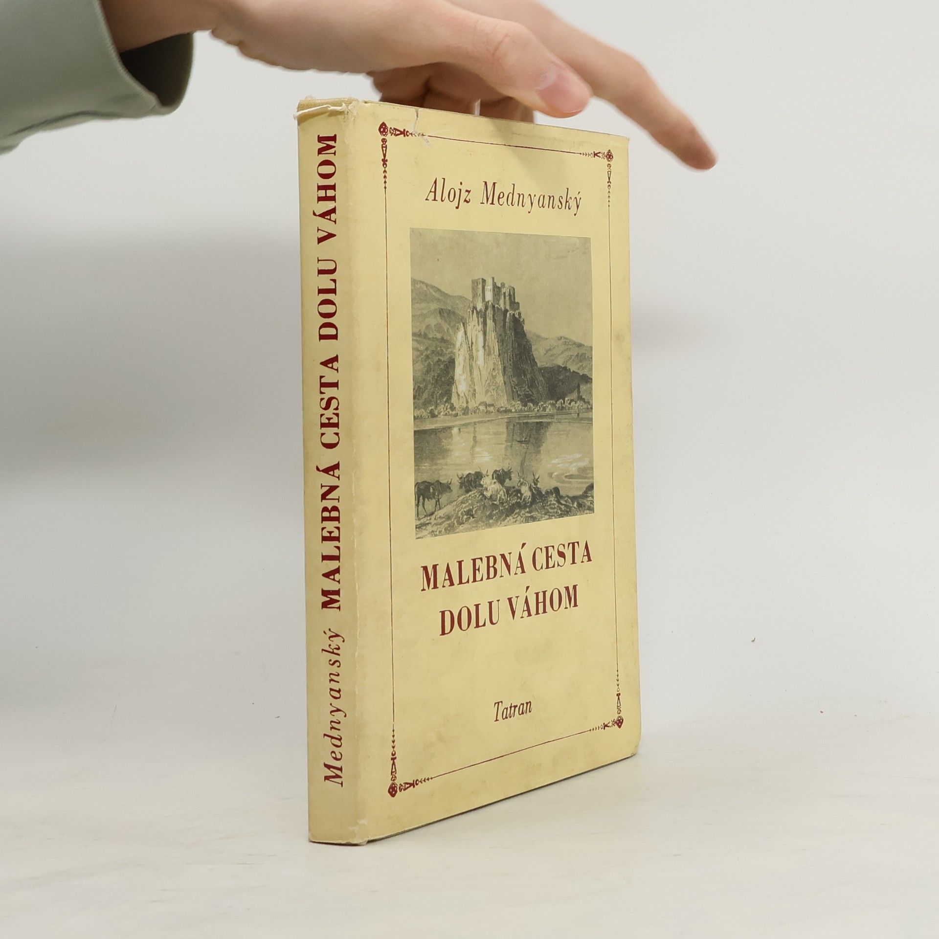 Alajos Mednyánszky Malebná cesta dolu Váhom