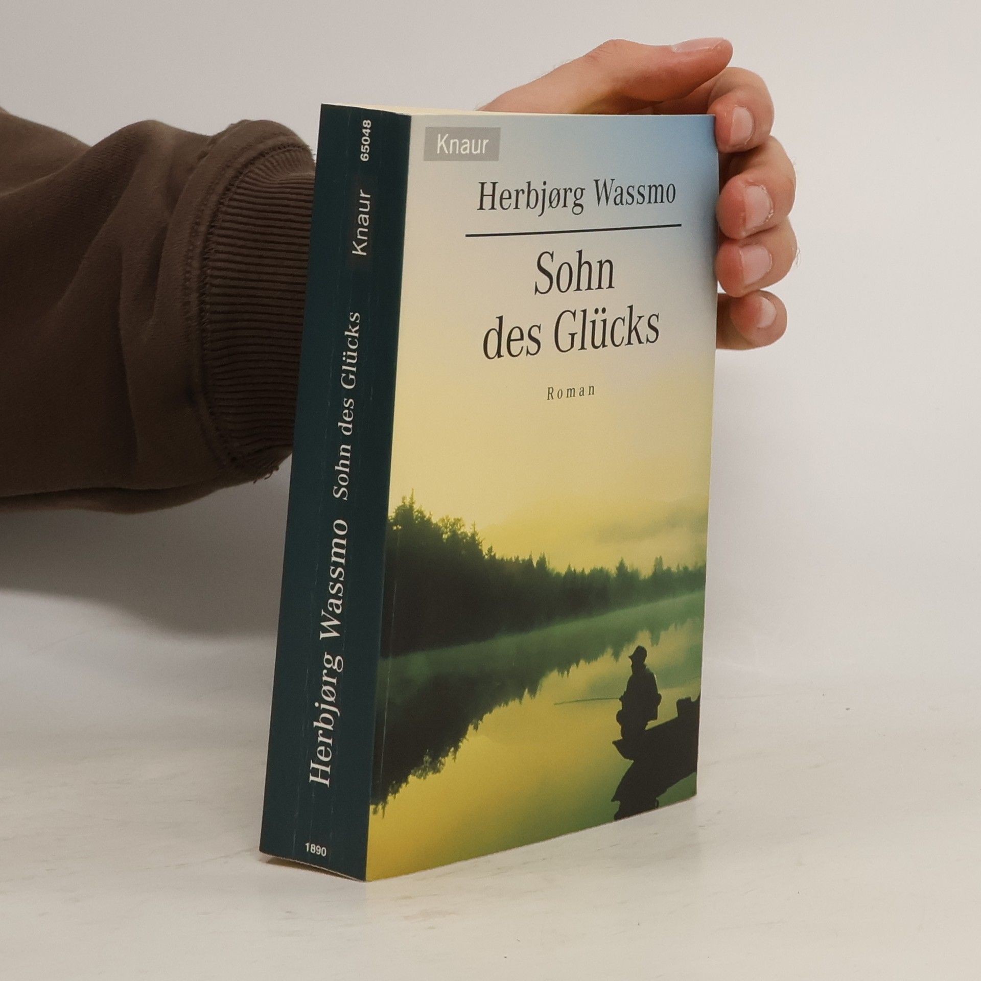 Herbjørg Wassmo Sohn des Glücks