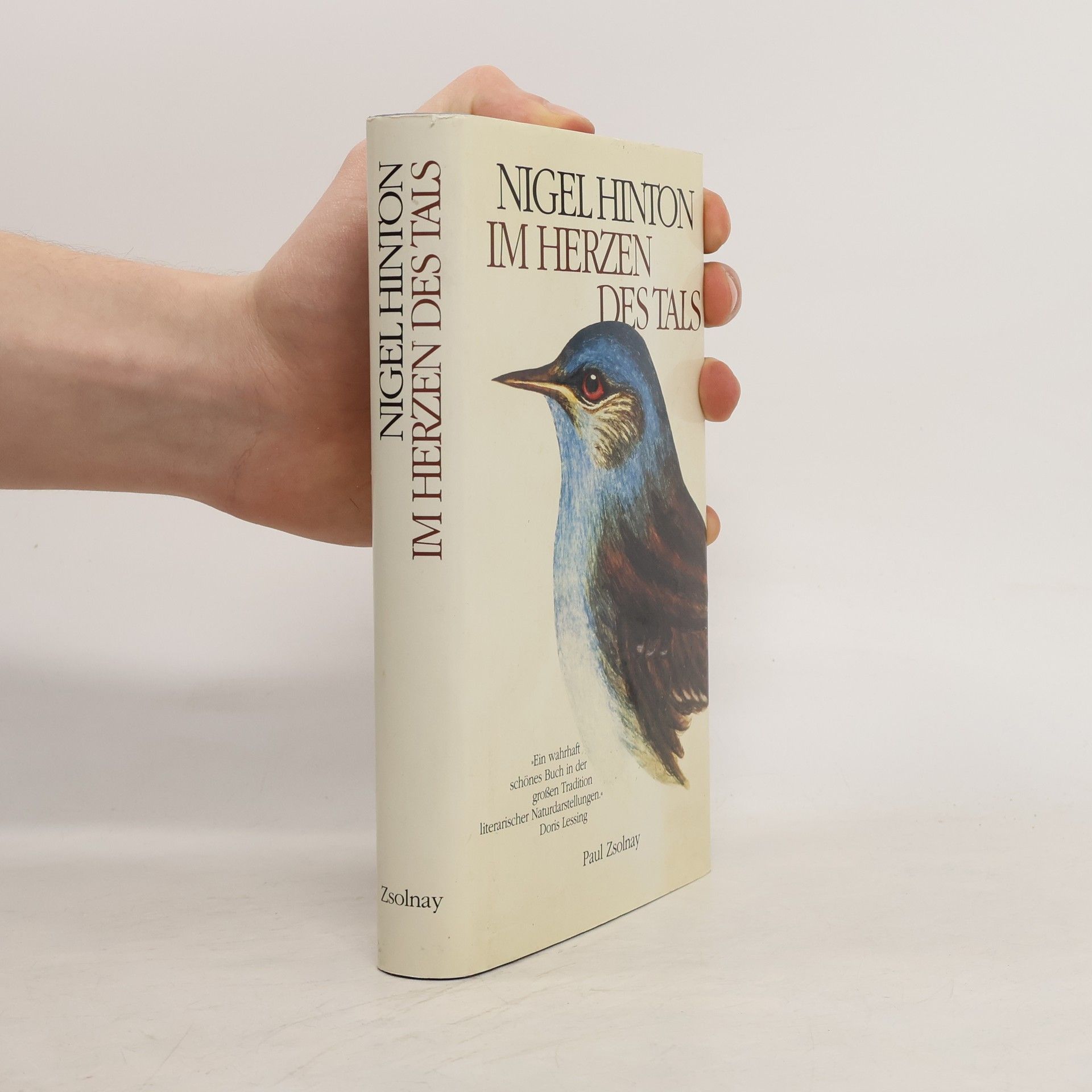 Nigel Hinton Im Herzen des Tals