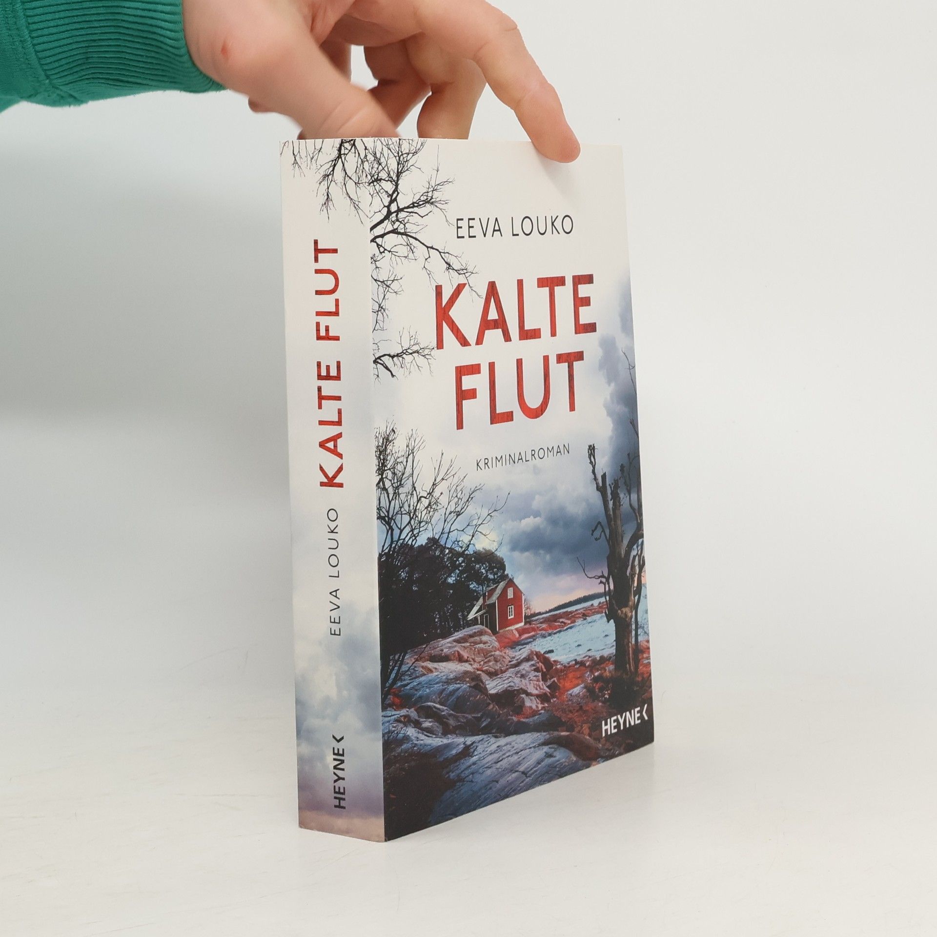 Eeva Louko Kalte Flut