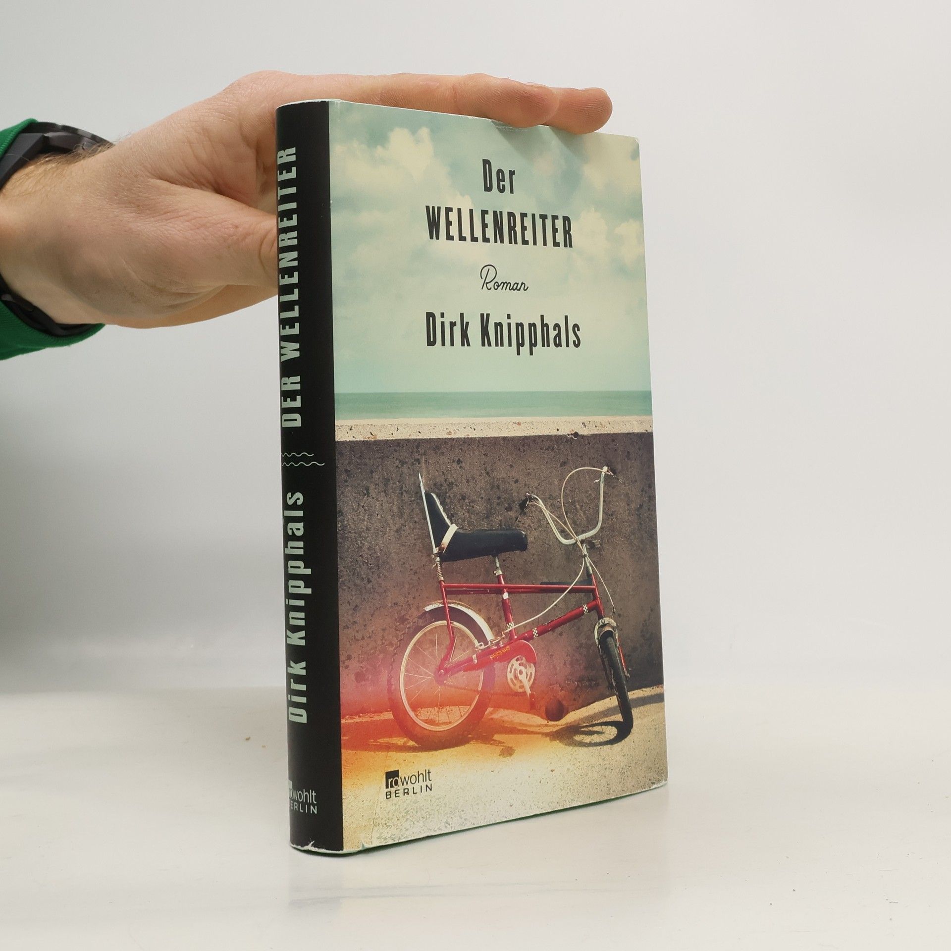 Dirk Knipphals Der Wellenreiter