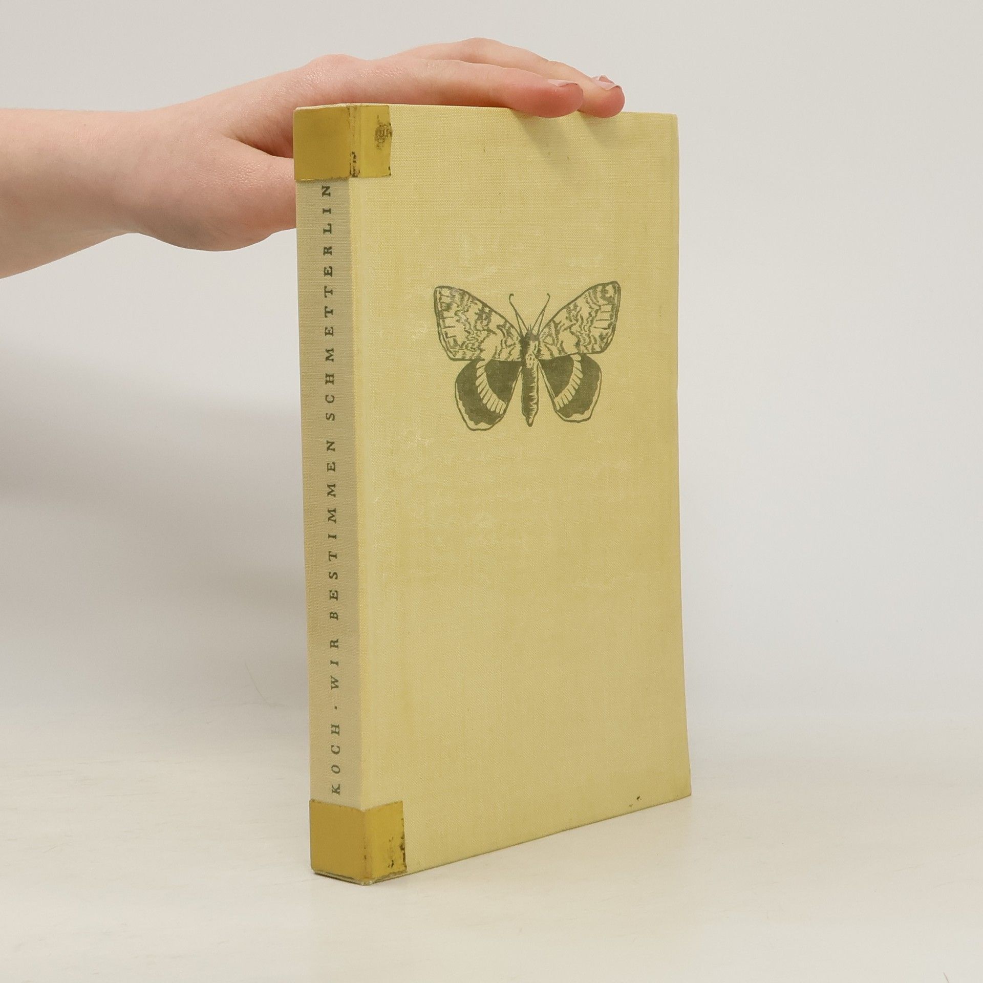 Autorenkollektiv Wir bestimmen Schmetterlinge 3