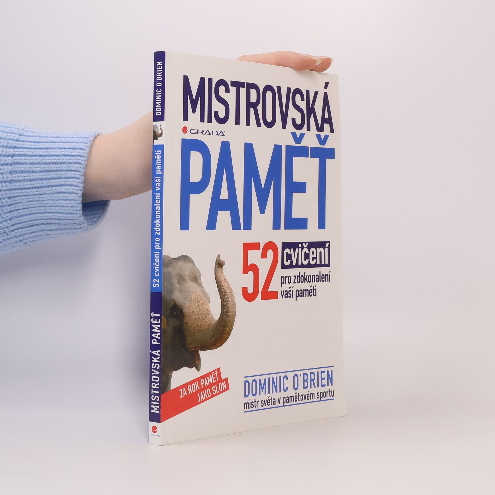 Mistrovská paměť : 52 cvičení pro zdokonalení vaší paměti