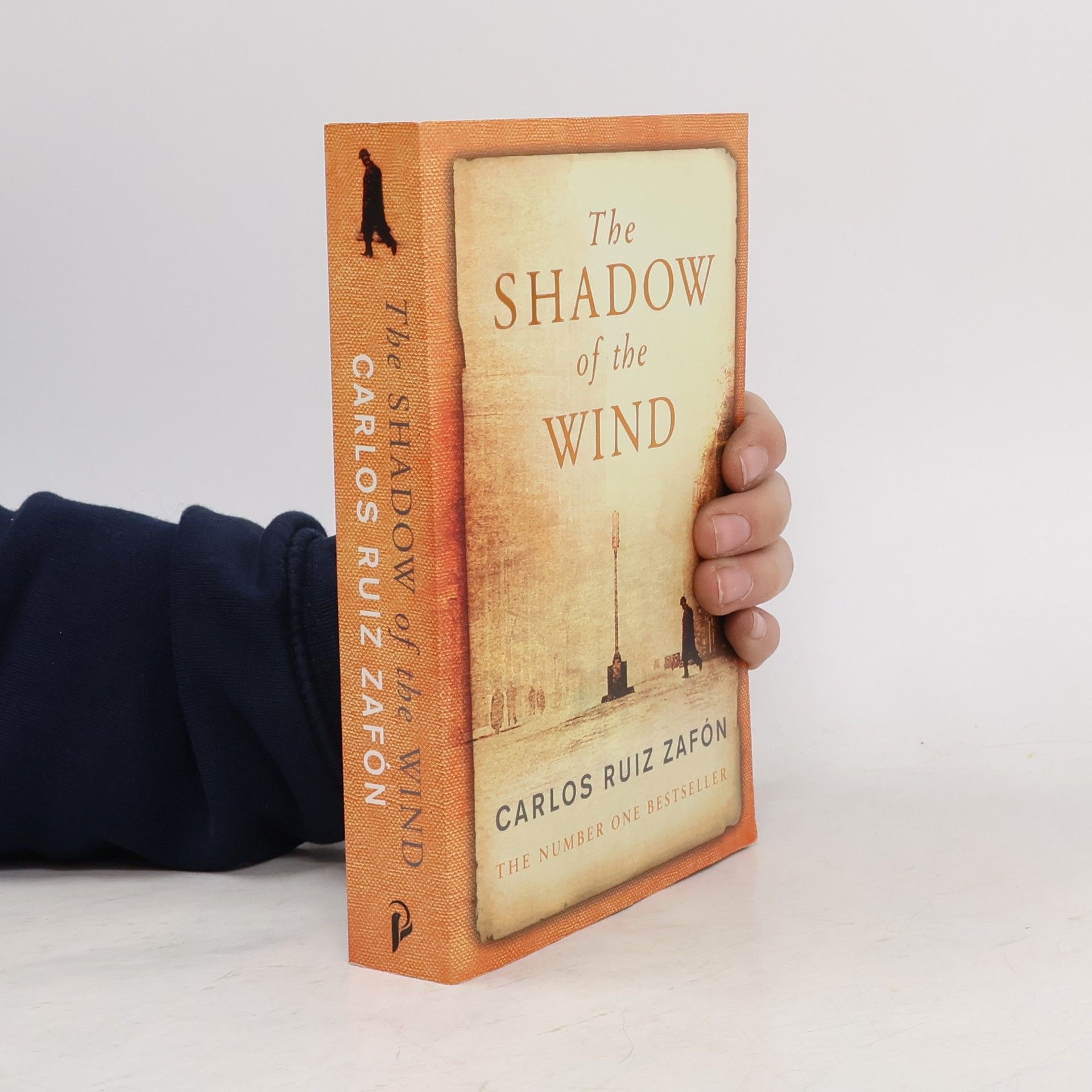 Lucia Graves The Shadow of The Wind