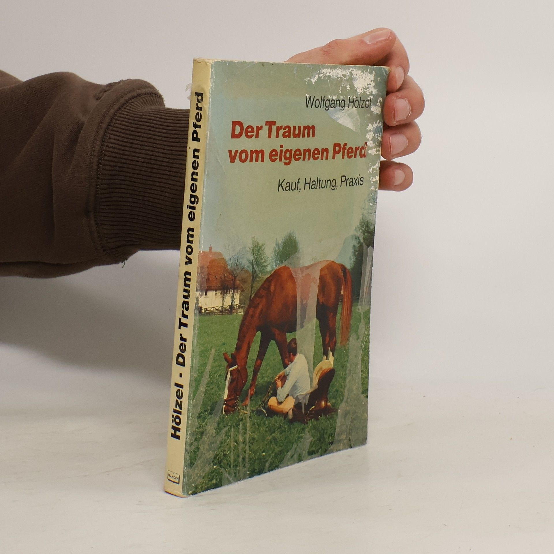 Der Traum vom eigenen Pferd