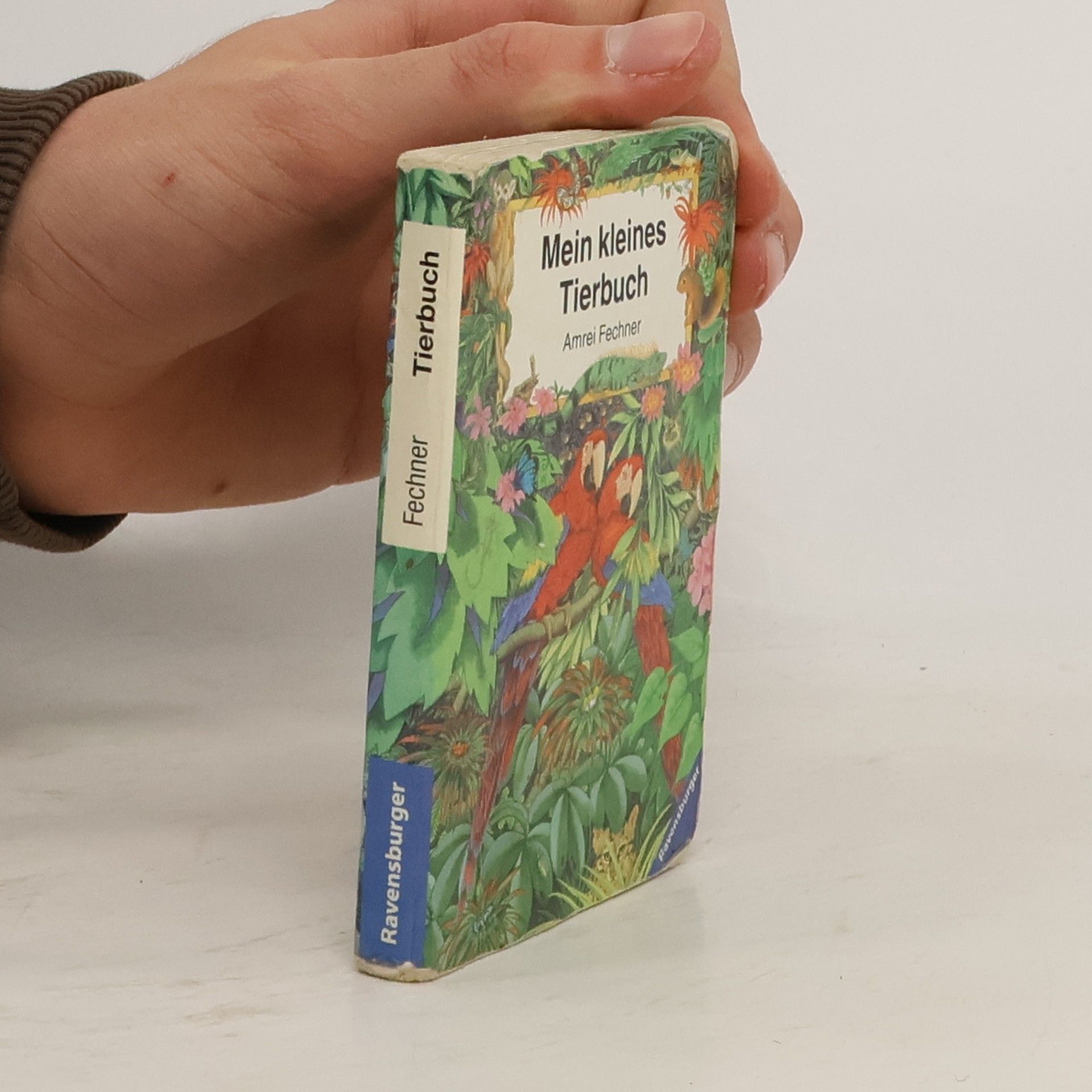 Amrei Fechner Mein kleines Tierbuch