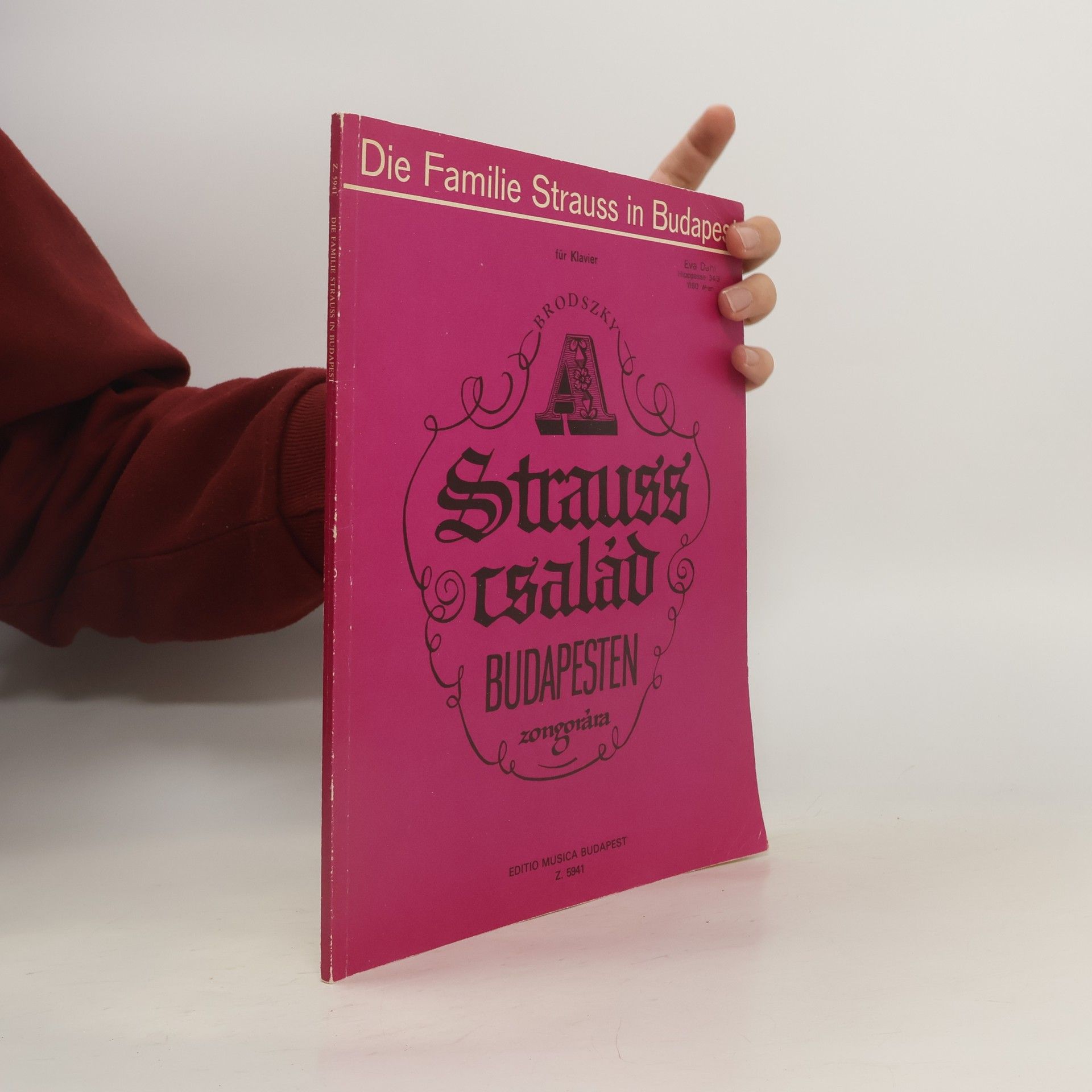 Kolektiv autorů Die Familie Strauss in Budapest