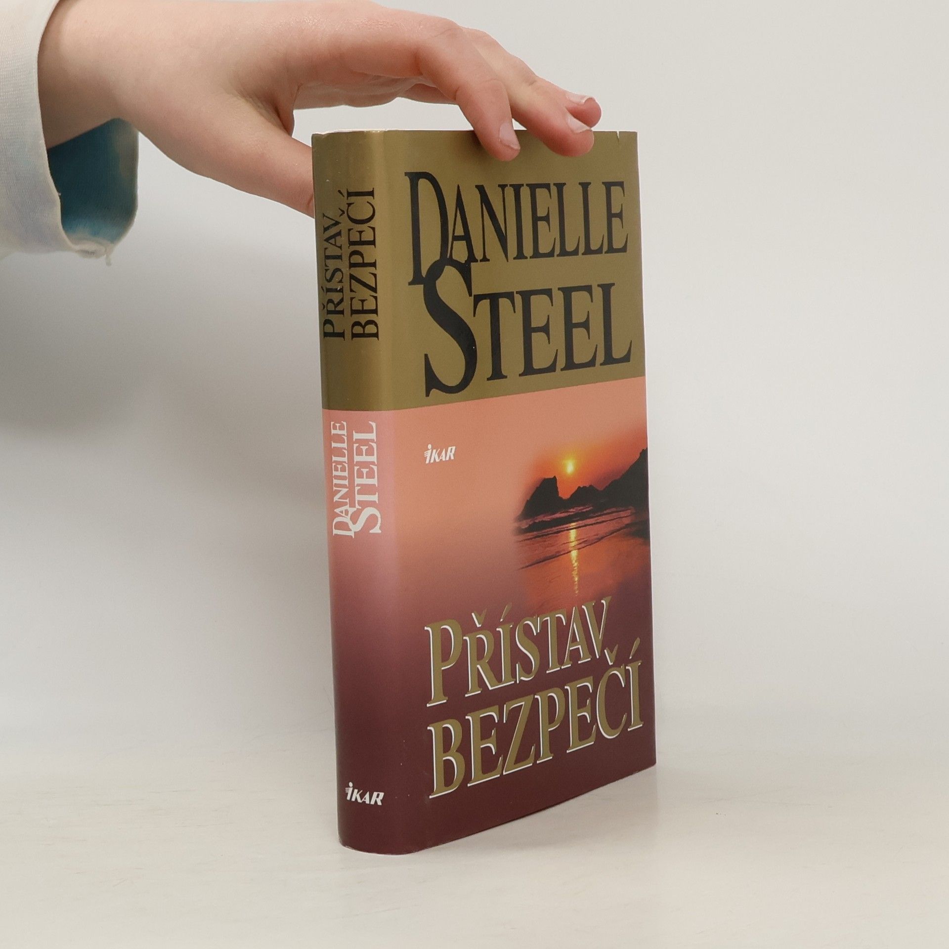 Danielle Steel Přístav bezpečí